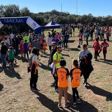 cross benabarre 4