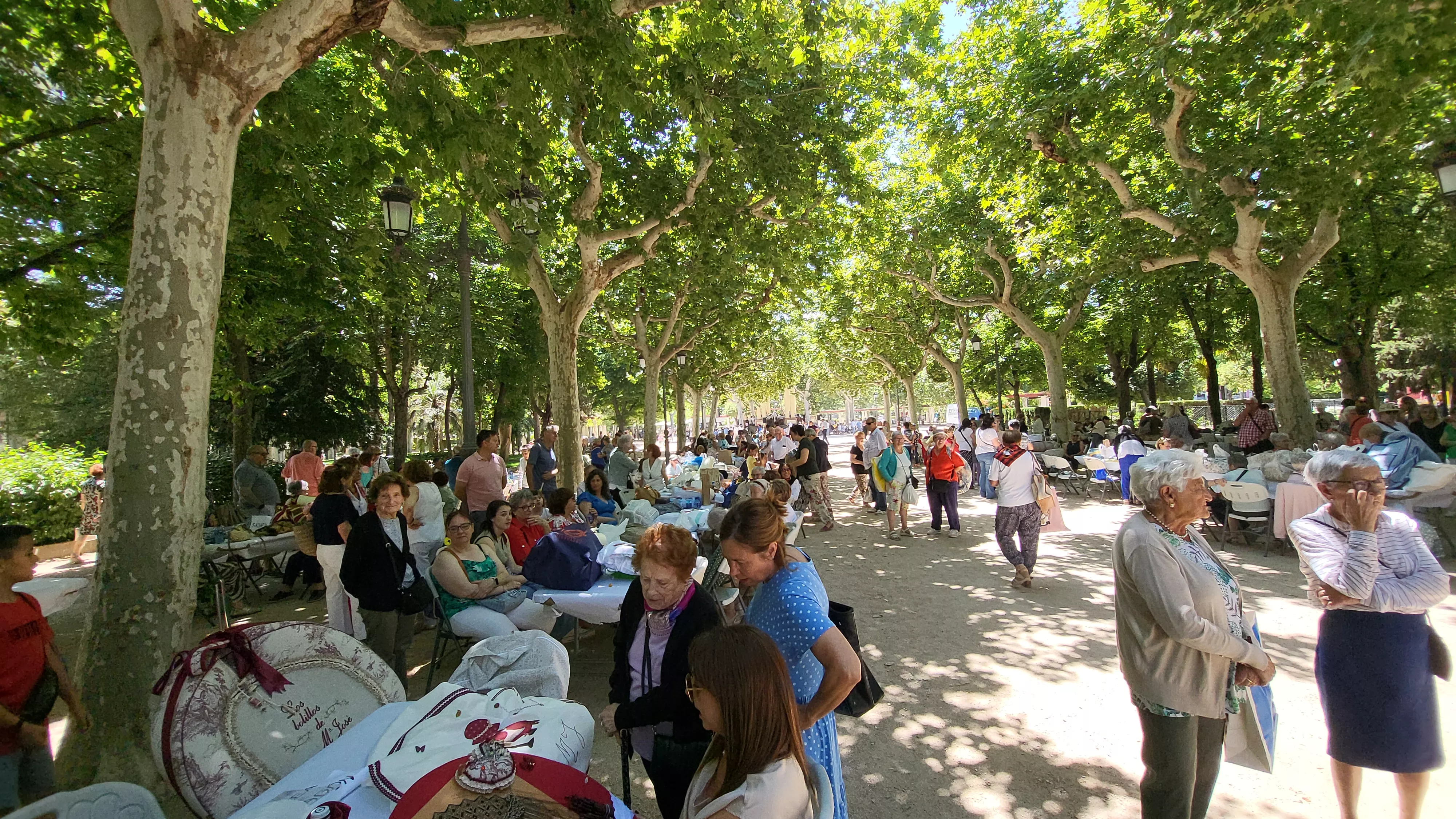 Encuentro de Bolillos de Huesca en el parque Miguel Servet. Foto Mercedes Manterola