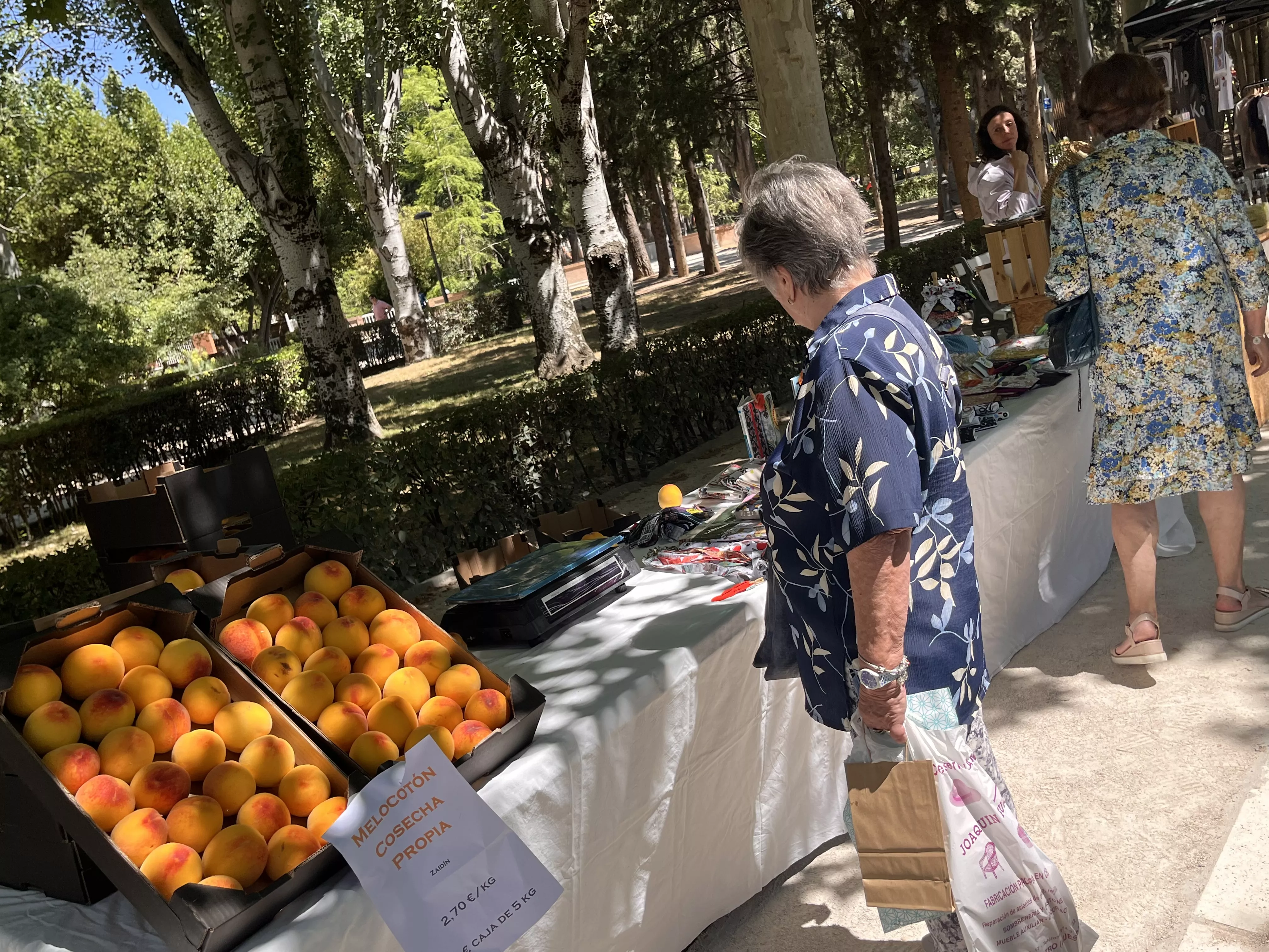Feria de Artesanía de la Peña la Parrilla en el parque Miguel Servet de Huesca. Foto Mercedes Manterola