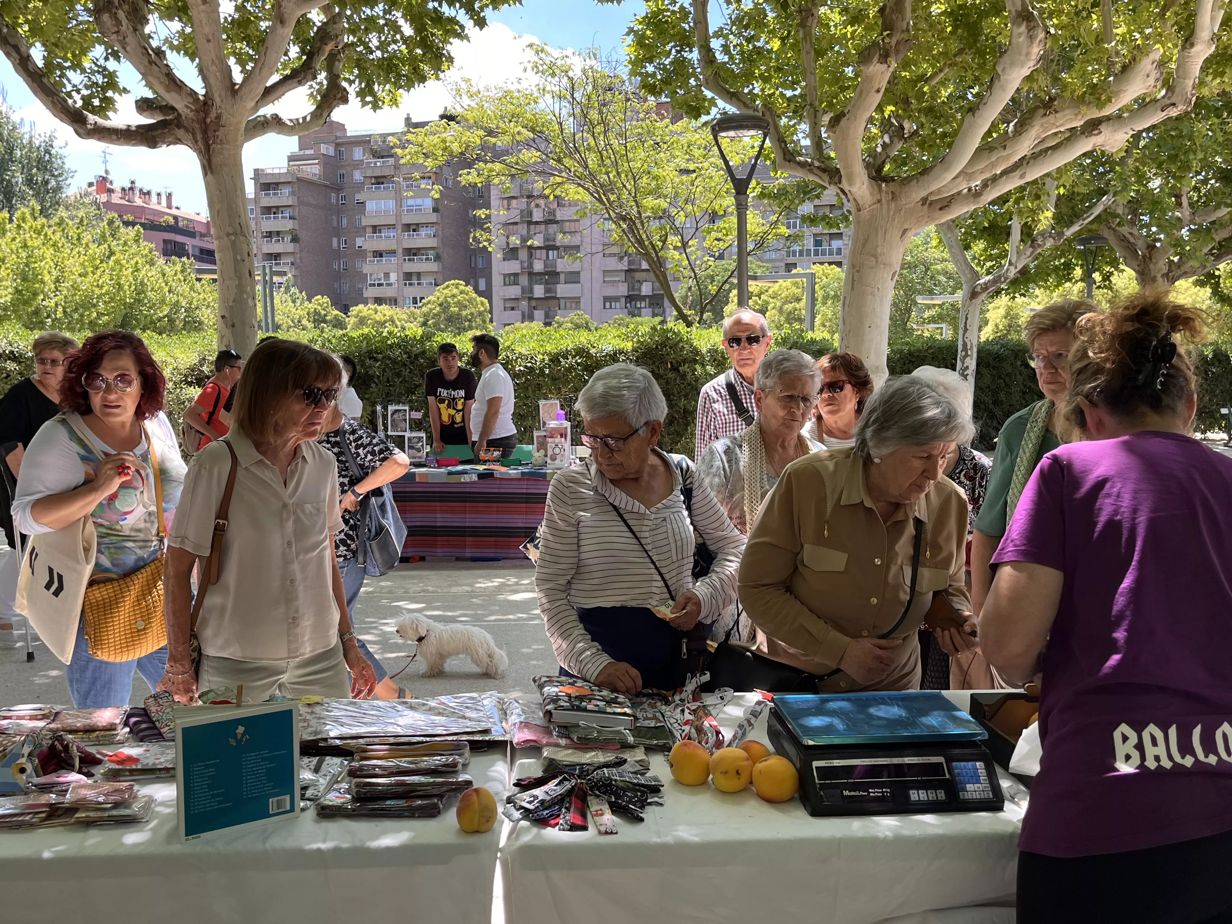 Feria de Artesanía de la Peña la Parrilla en el parque Miguel Servet de Huesca. Foto Mercedes Manterola