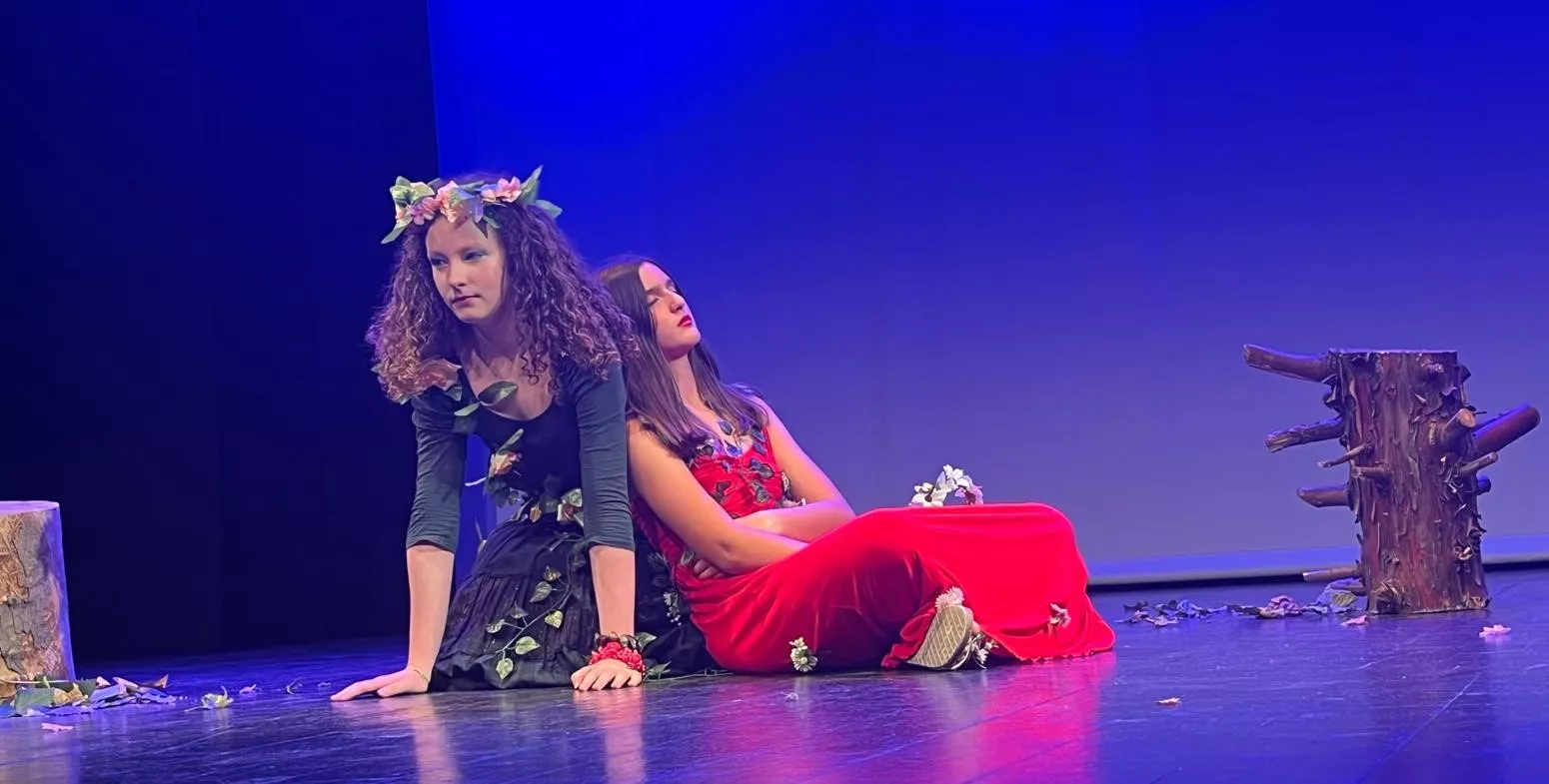 Actuación de La ventana teatro con la obra Pun(n)ck en la Muestra de Teatro y Danza Joven. Foto Mercedes Manterola