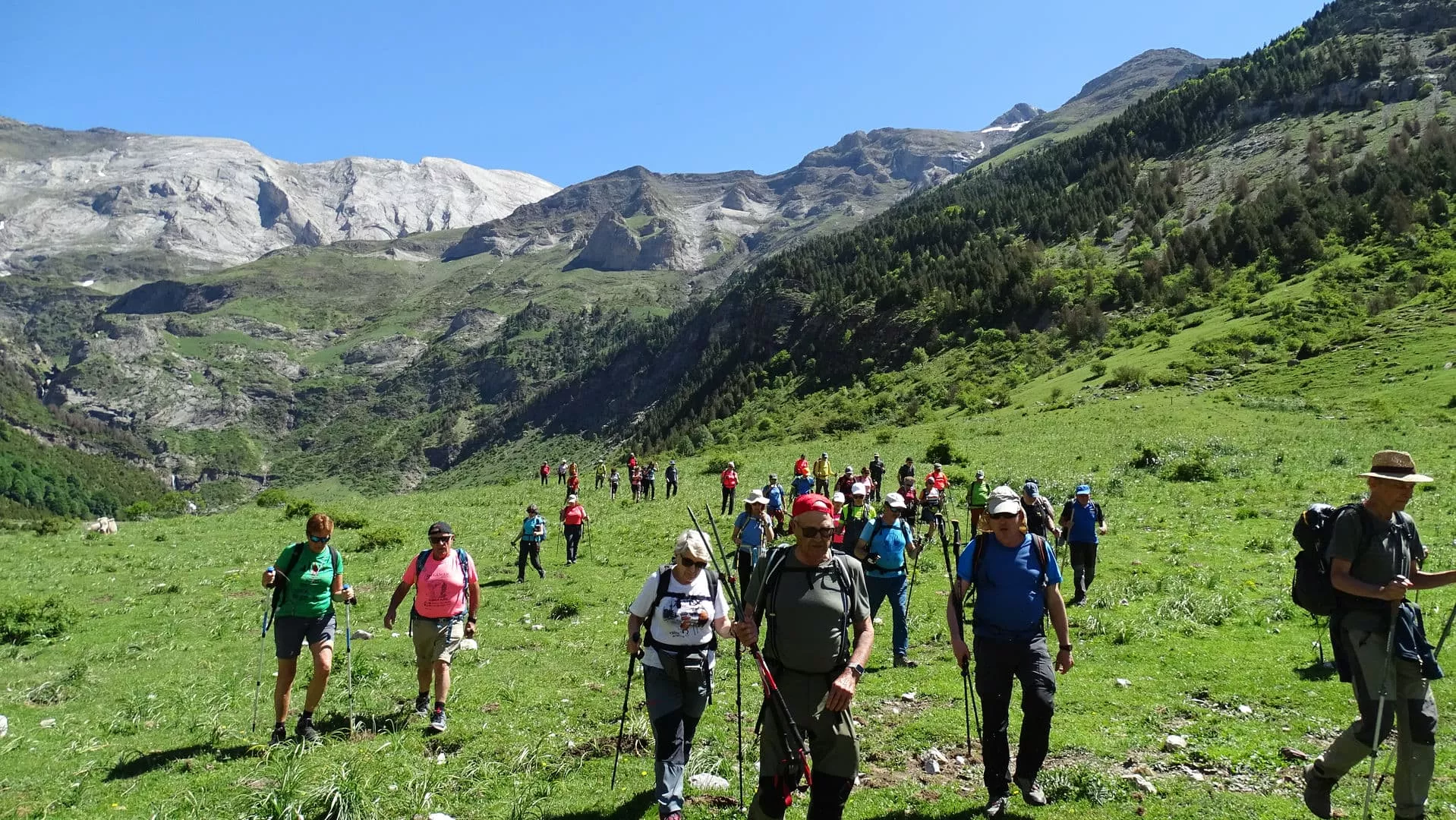 Por los Llanos. Foto Alfredo Zazo