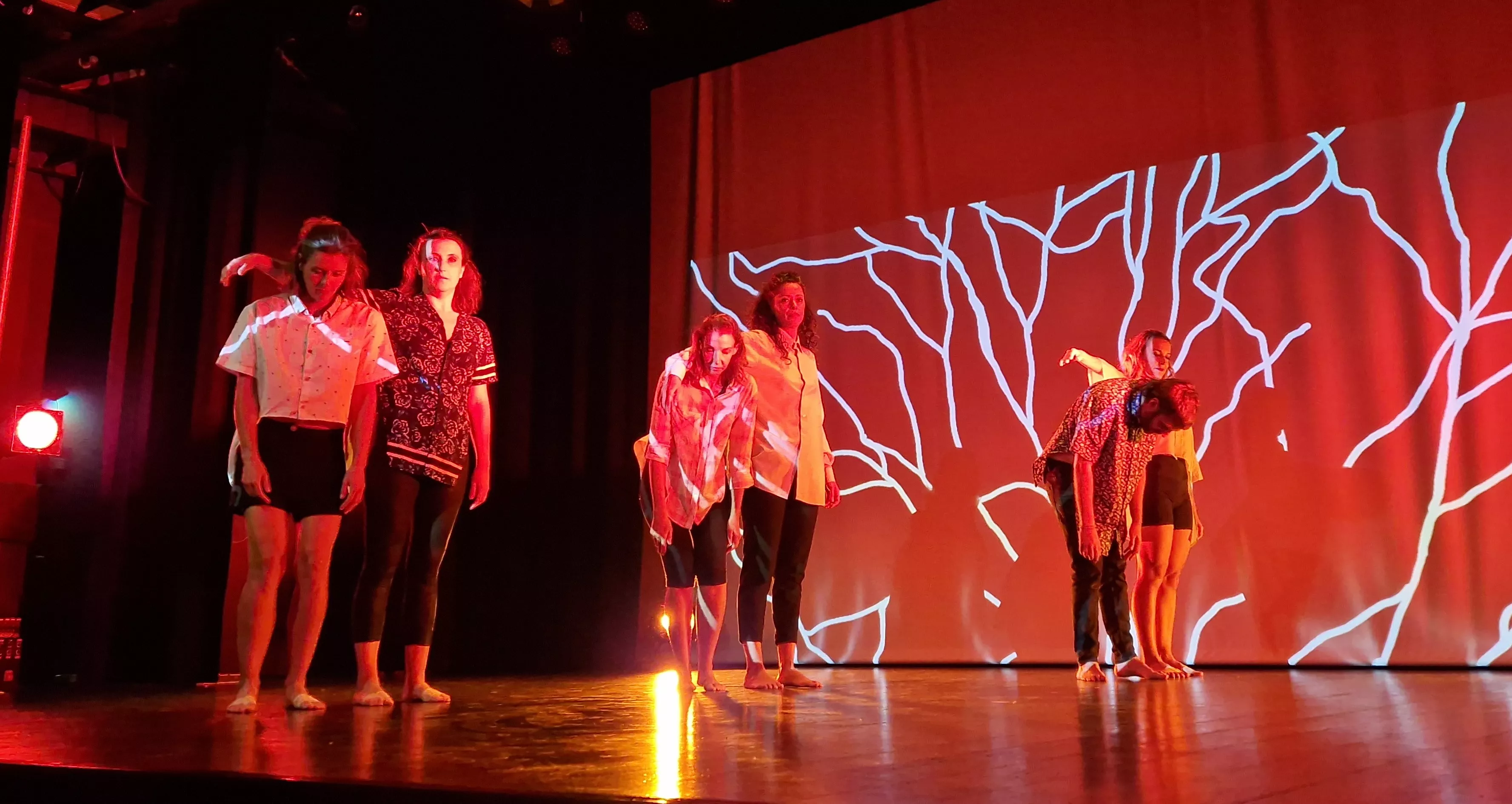 Grupos de danza contemporánea de Nuria Bolea en la Muestra Joven. Foto Myriam Martínez 