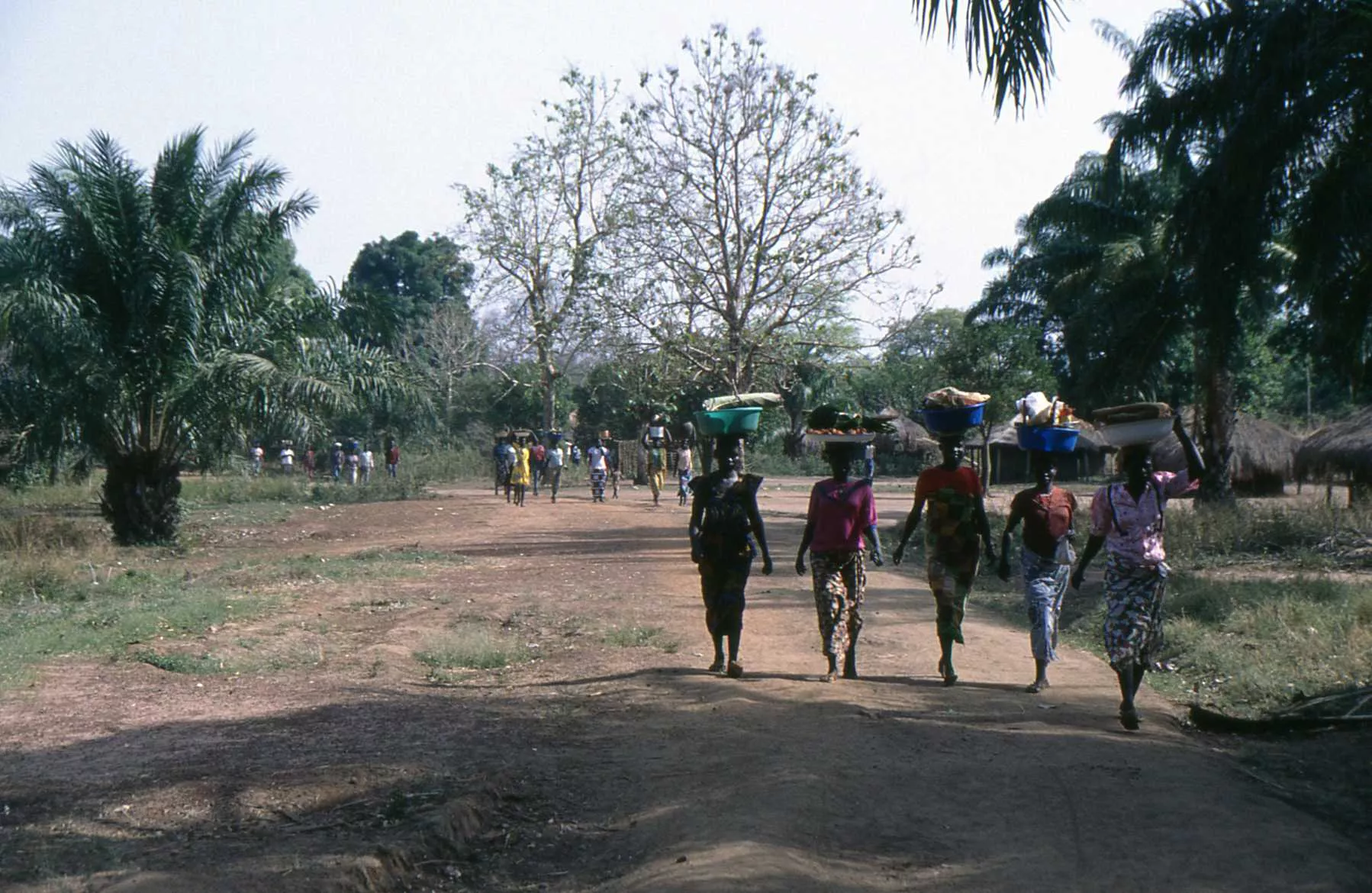 Marco Pascual en el Congo en una jornada divertida y peligrosa