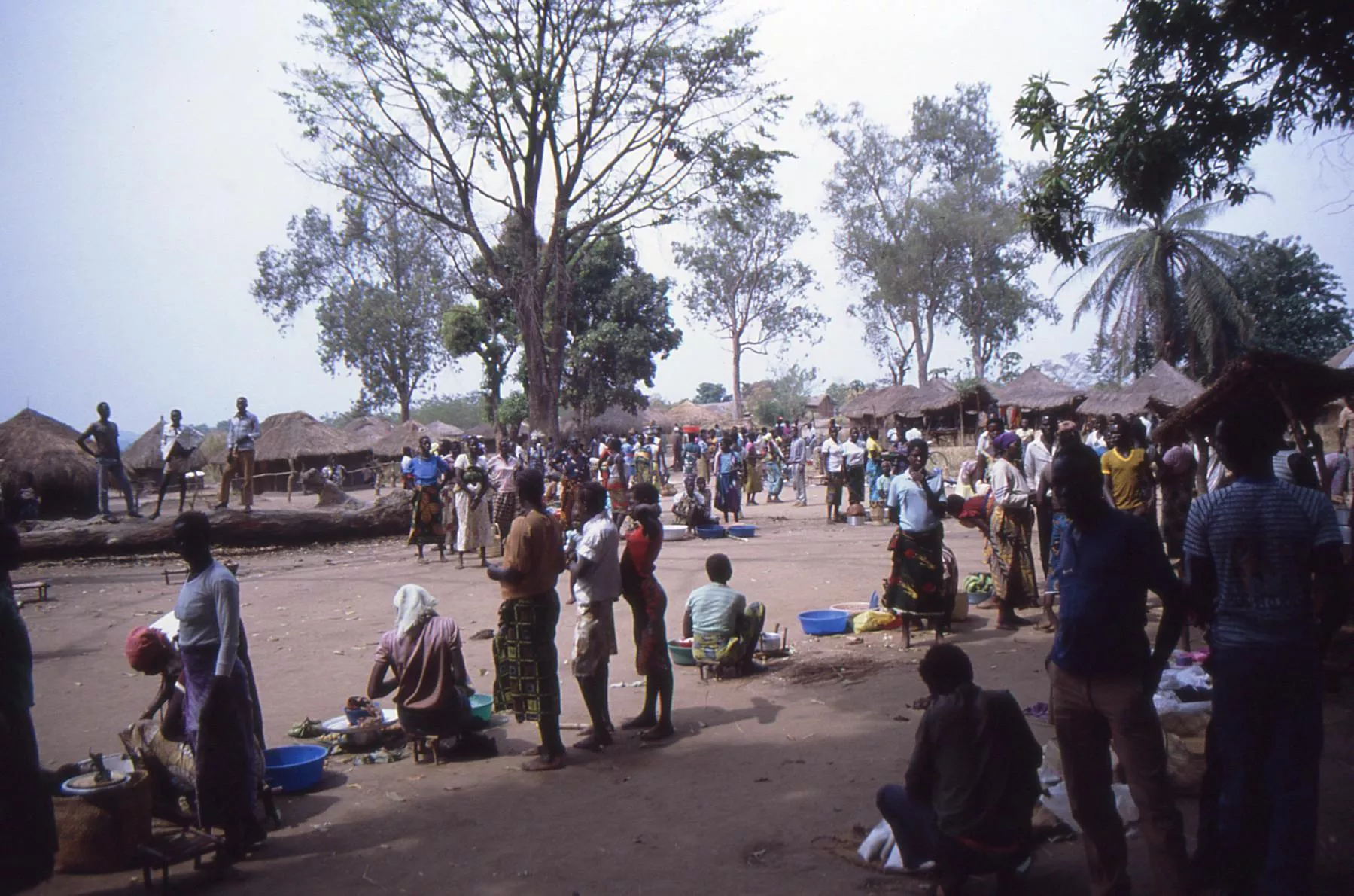 Marco Pascual en el Congo en una jornada divertida y peligrosa