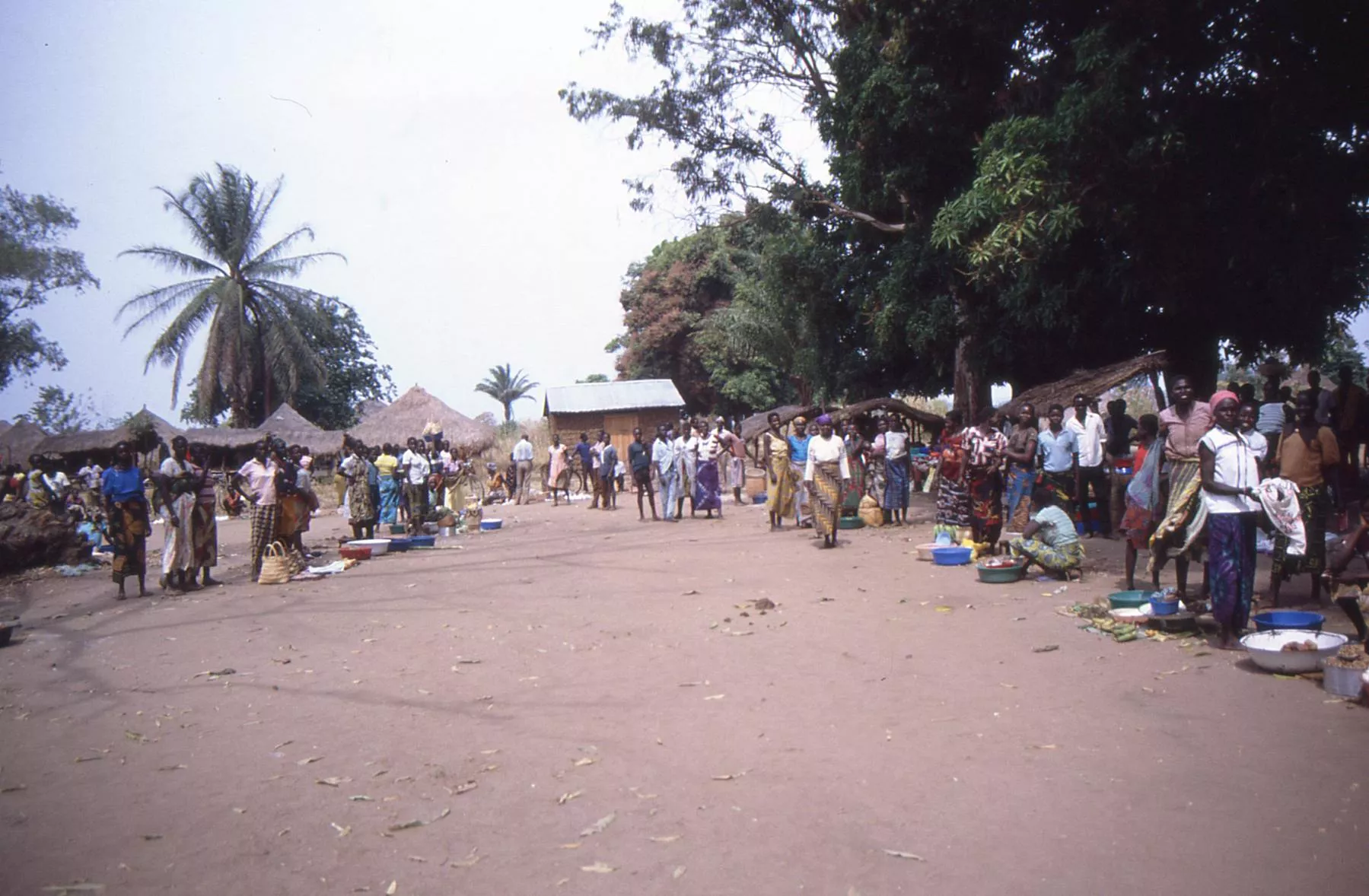 Marco Pascual en el Congo en una jornada divertida y peligrosa