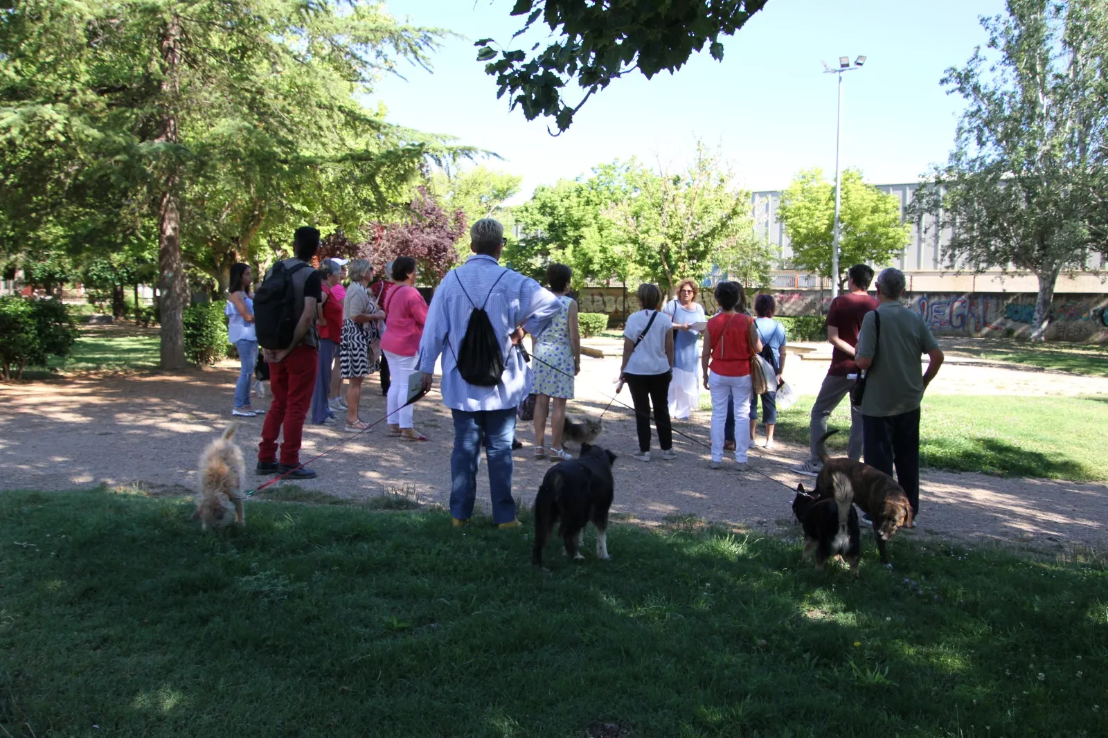 Paseo por el barrio del Perpetuo Socorro. Foto Carlos Neofato 