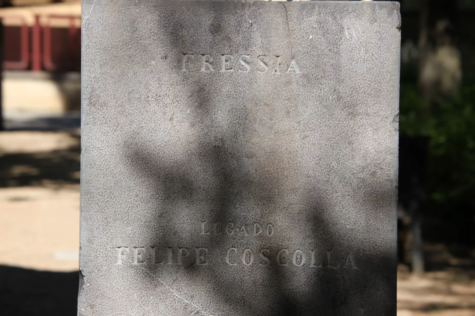 Paseo por el barrio del Perpetuo Socorro. Foto Carlos Neofato 