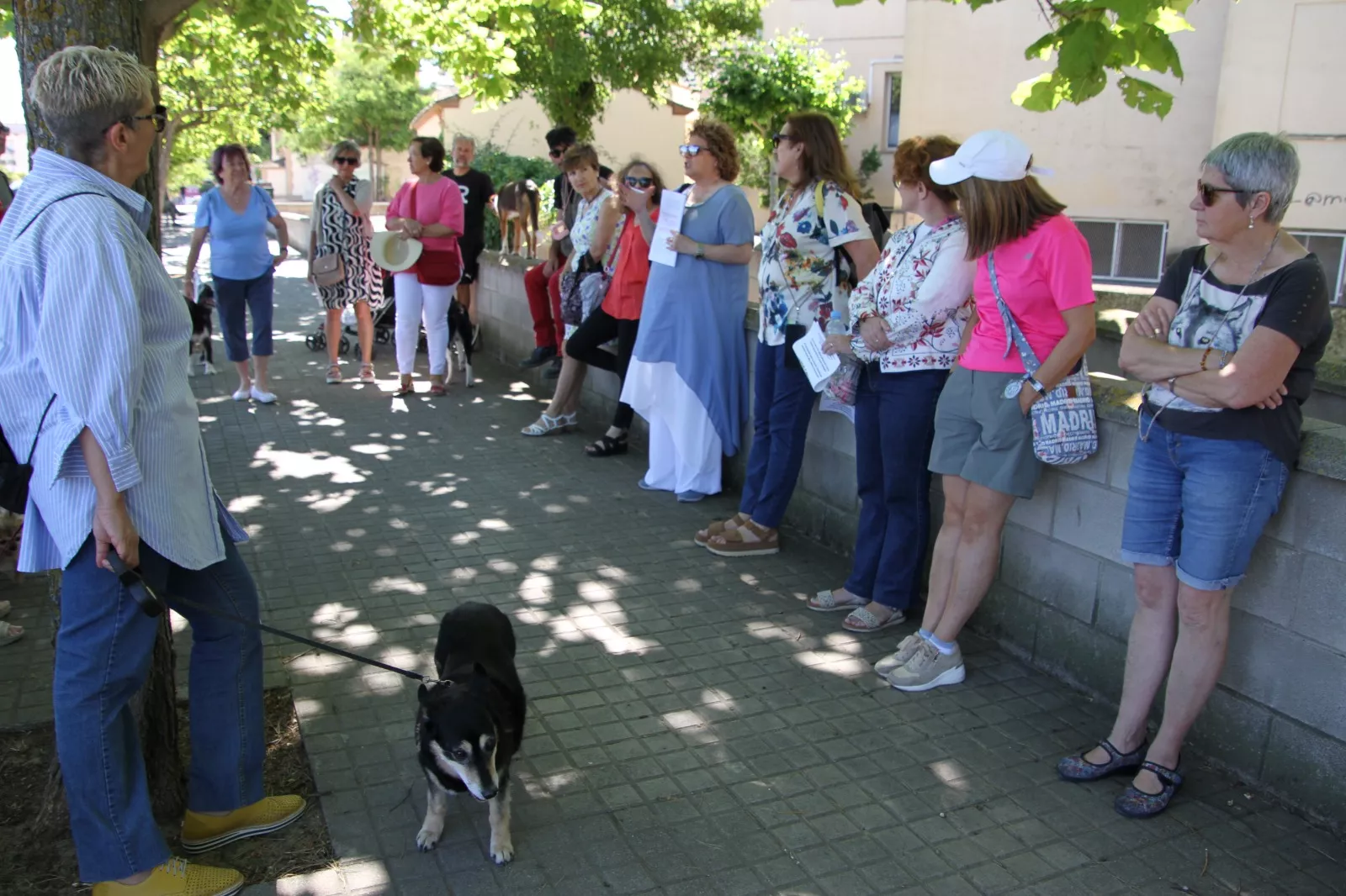 Paseo por el barrio del Perpetuo Socorro. Foto Carlos Neofato 