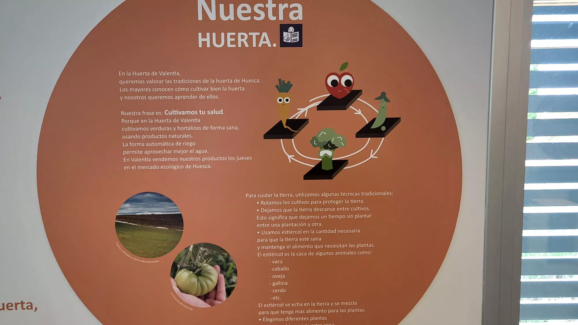 Inauguración del Centro de Interpretación de Nuestra Huerta de Valentia
