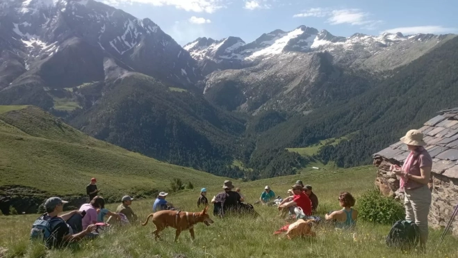 BachimalaFlo CMNabain BachimalaFlo CMNabain