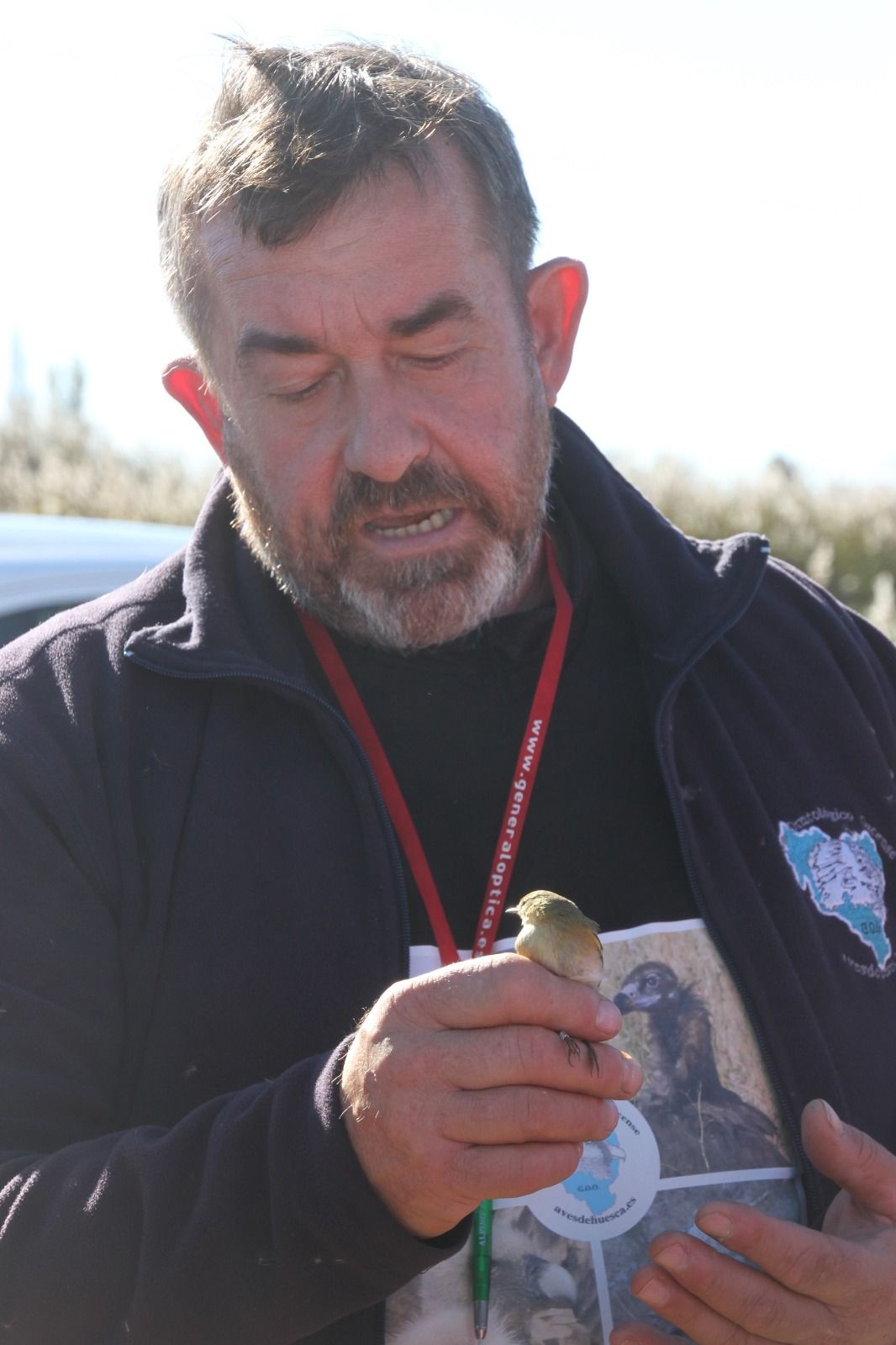 Anillamiento de aves en la Laguna de Sariñena. Foto Carlos Neofato