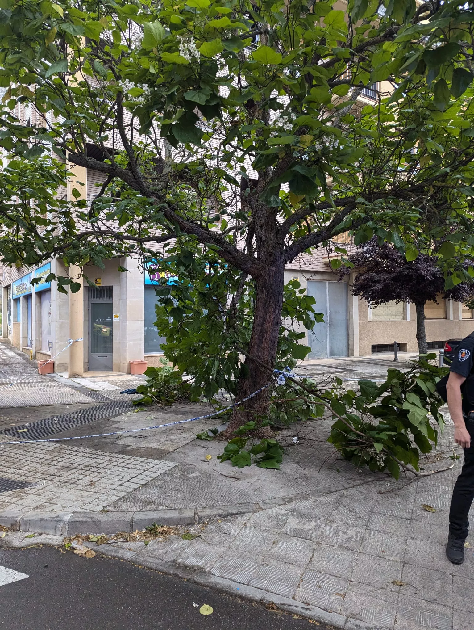 Incendio en la calle Antonio Beltrán de Jaca