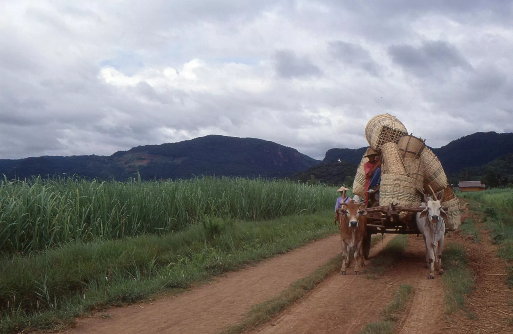  Marco Pascual en Birmania