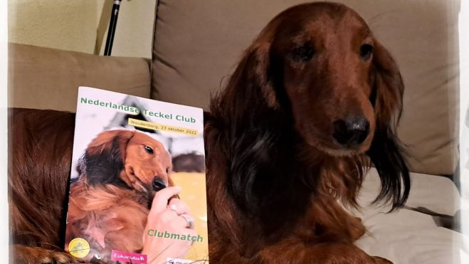 Cooper de Euravall junto a la portada de la que ha sido modelo Cooper de Euravall junto a la portada de la que ha sido modelo