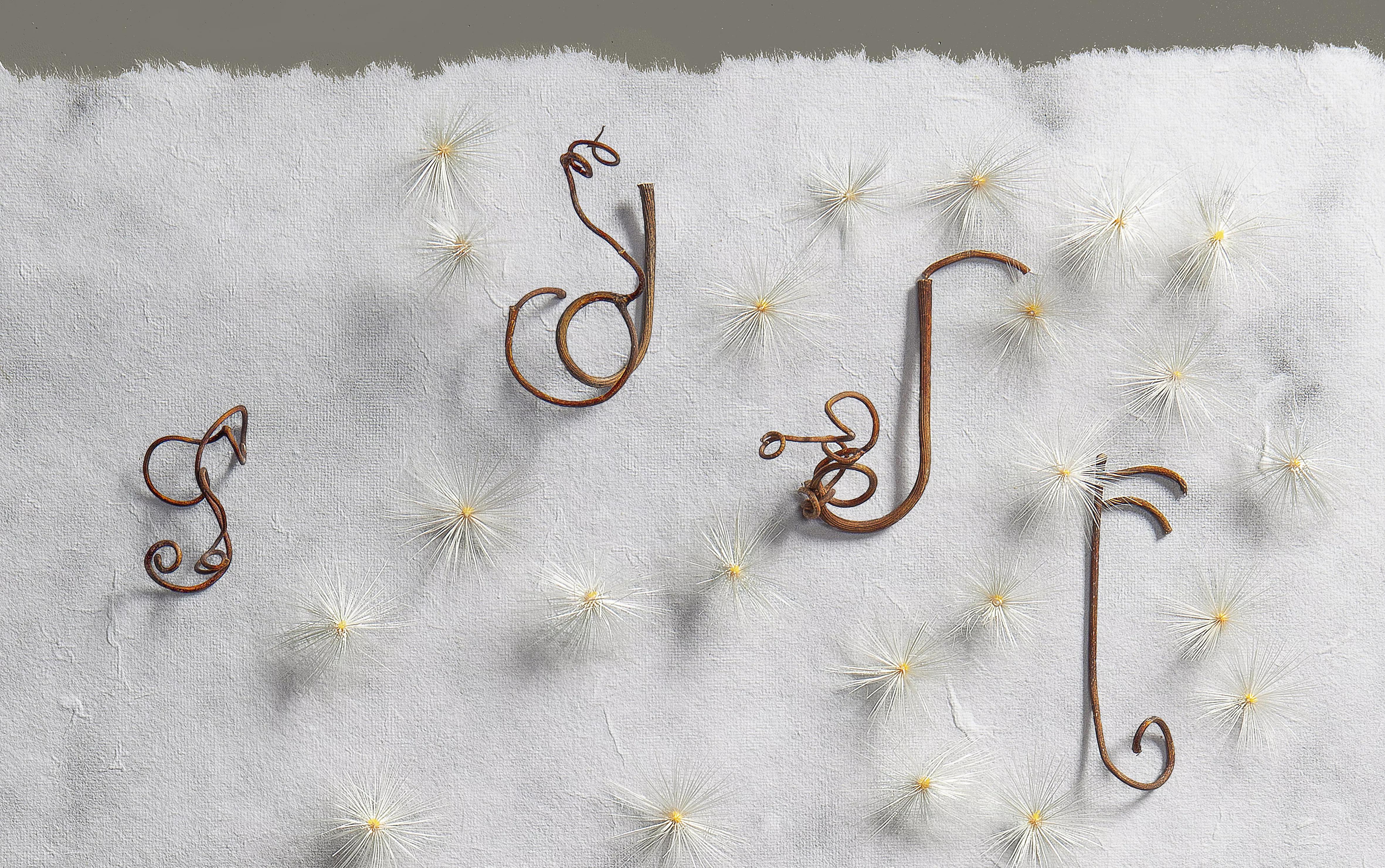 Cartel de Enclaves 2024.