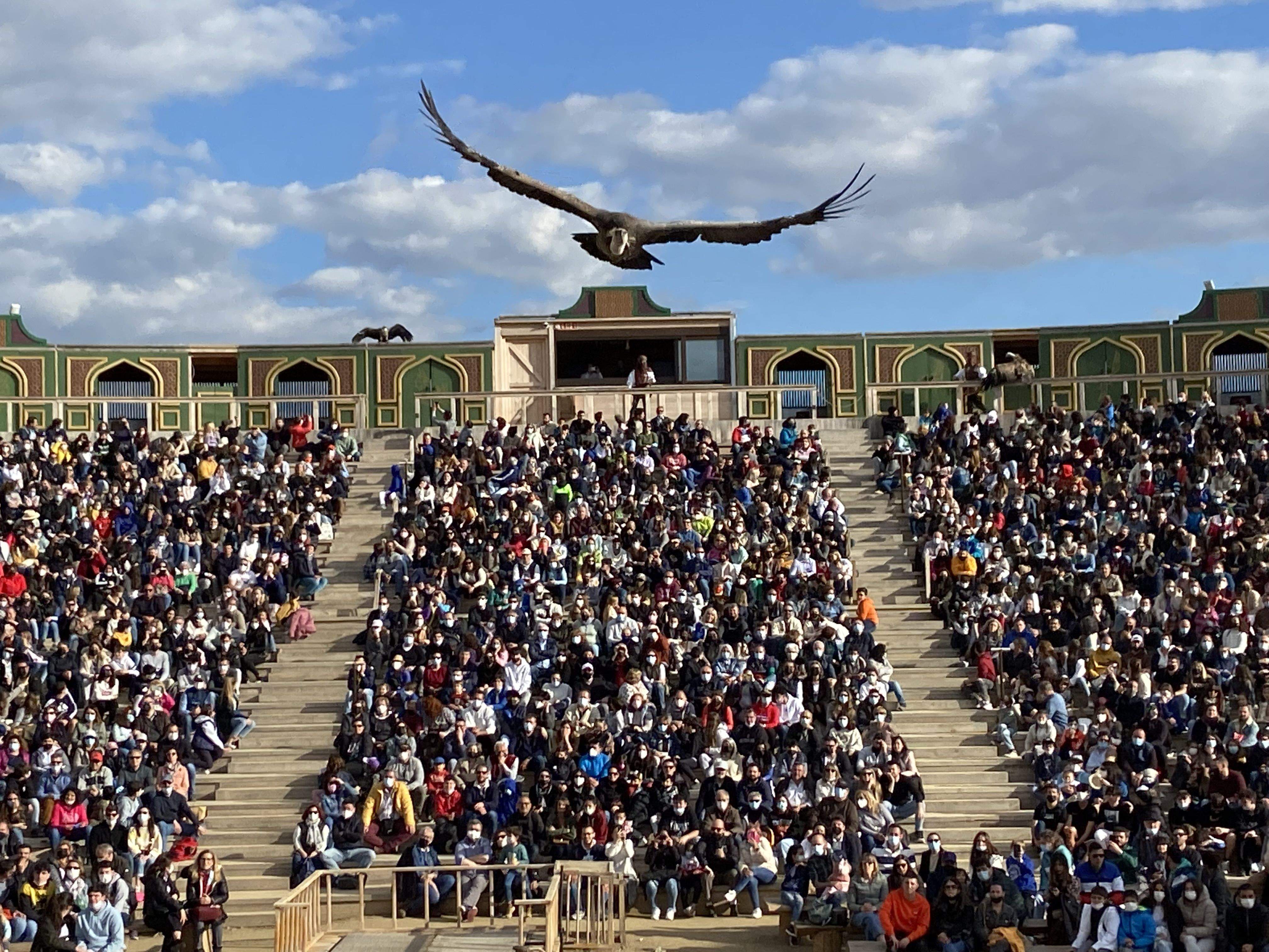 Experiencia de Cliente