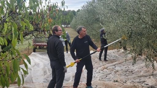 Alumnos y personal de la Universidad han participado en la actividad