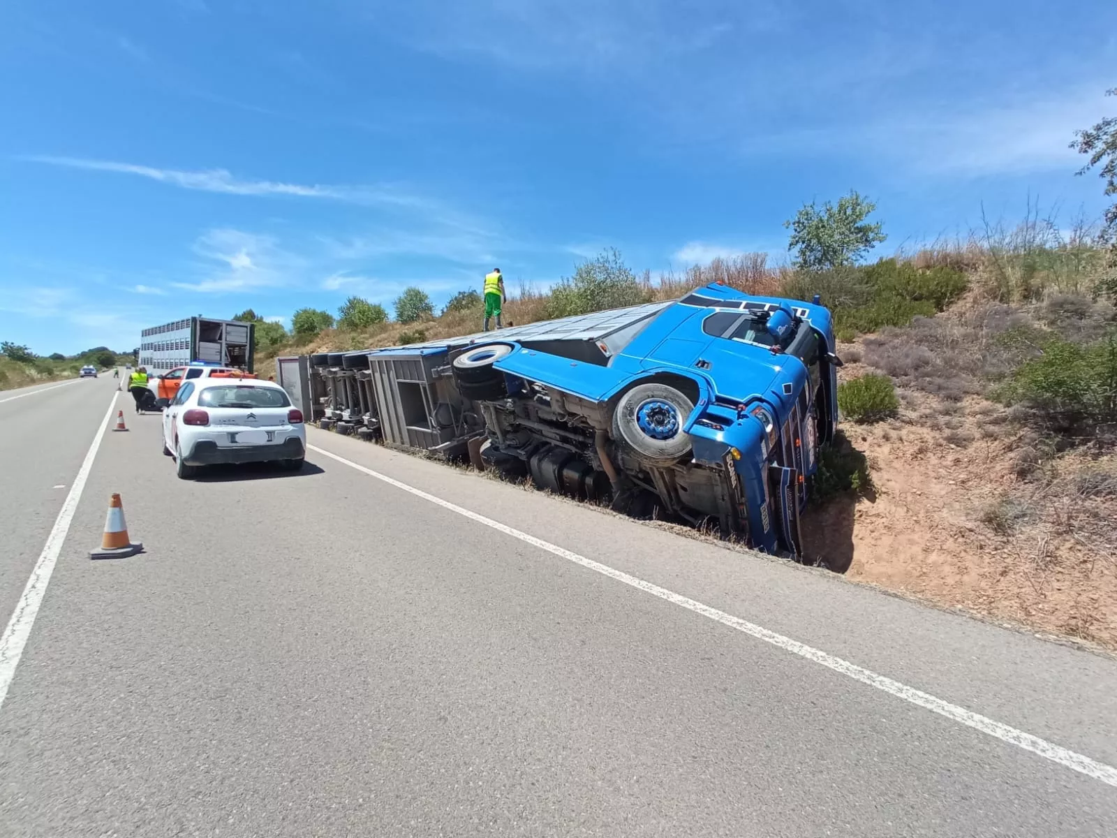 Un camión que transportaba cerdos ha volcado en la A-132, entre Quinzano y Loscorrales.