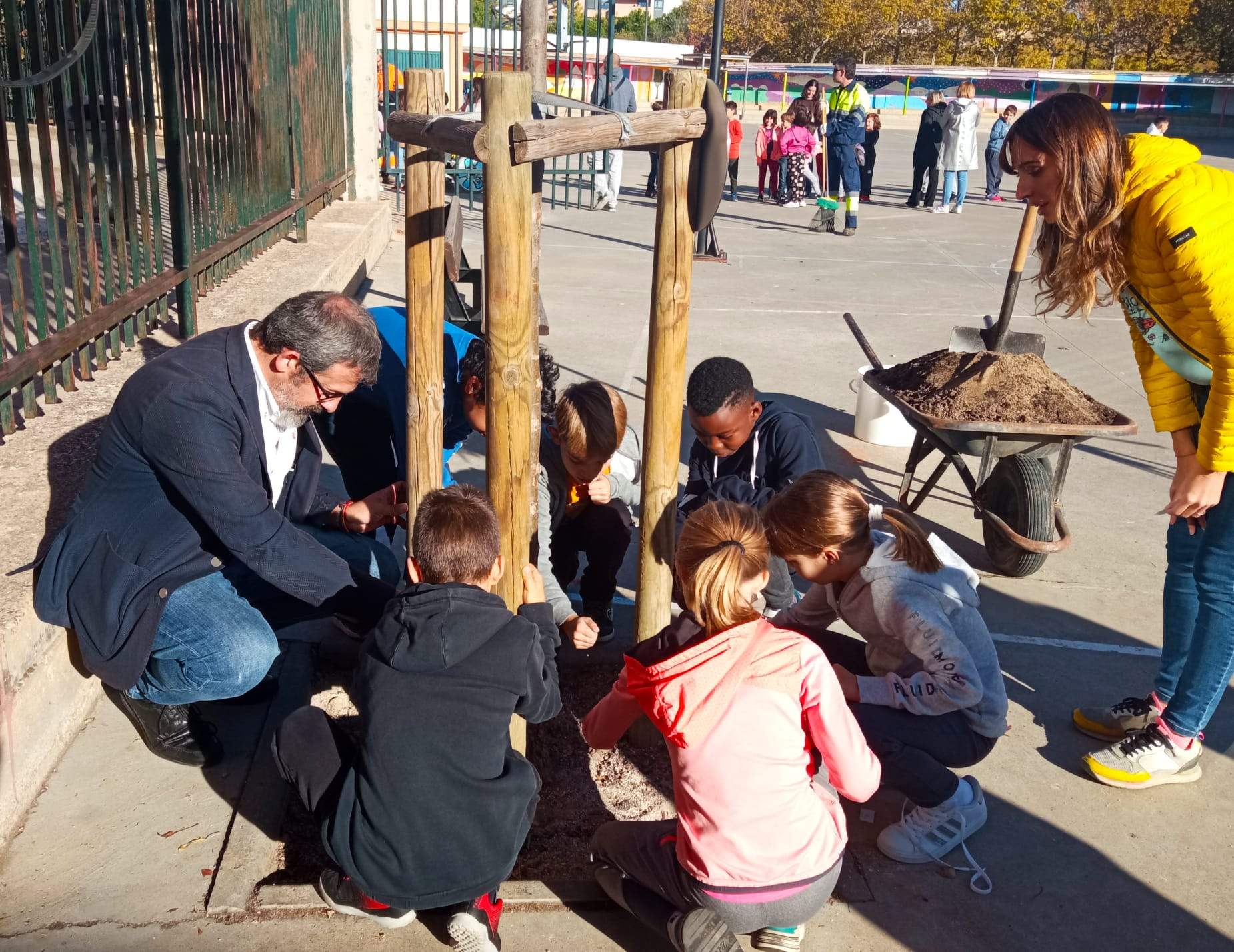 La siembra de las islas de biodiversidad se ha realizado en alcorques de árboles del colegio Juan XXIII