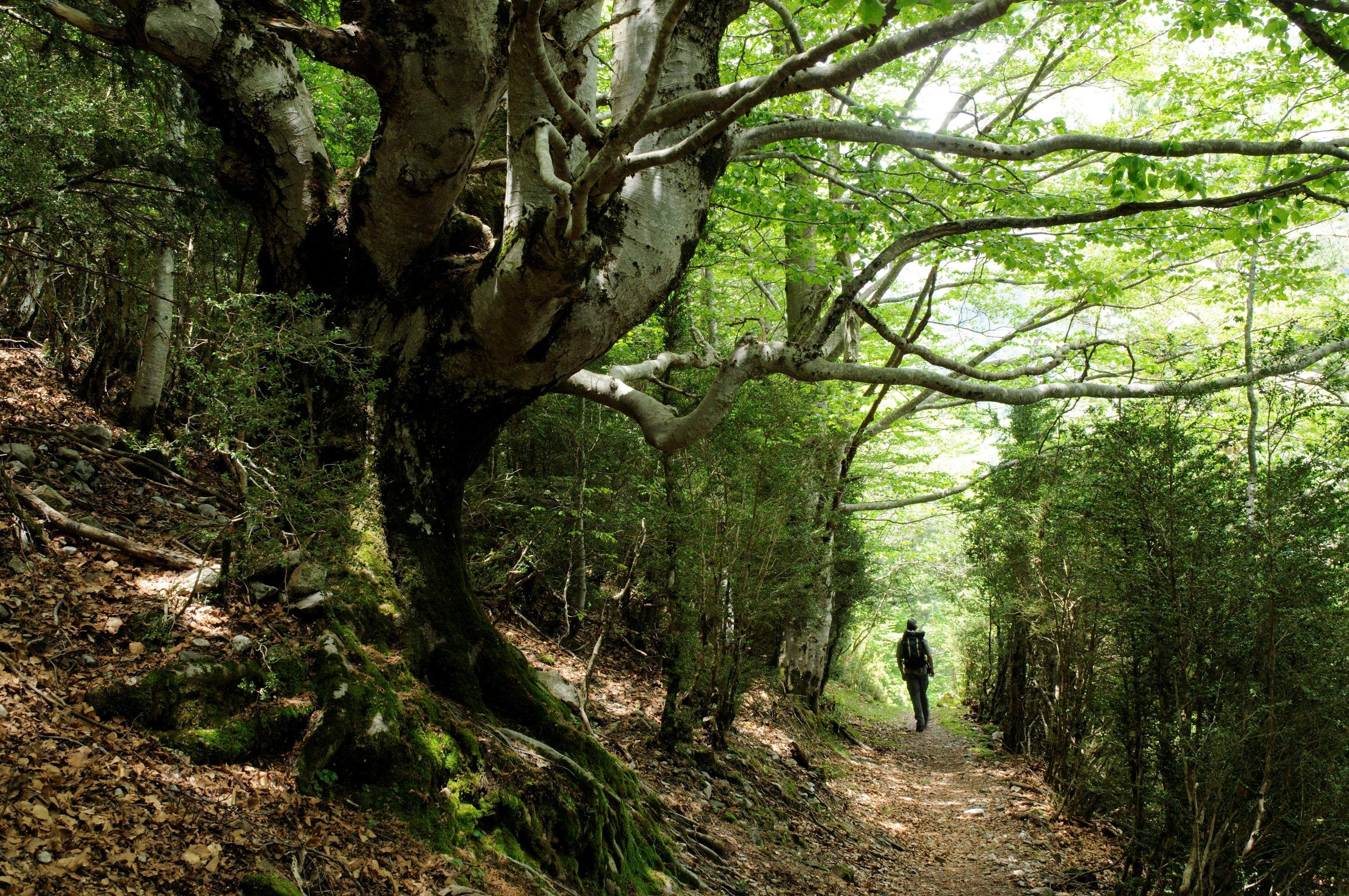 El Geoparque de Sobrarbe participa en un proyecto nacional para promocionar el ecoturismo