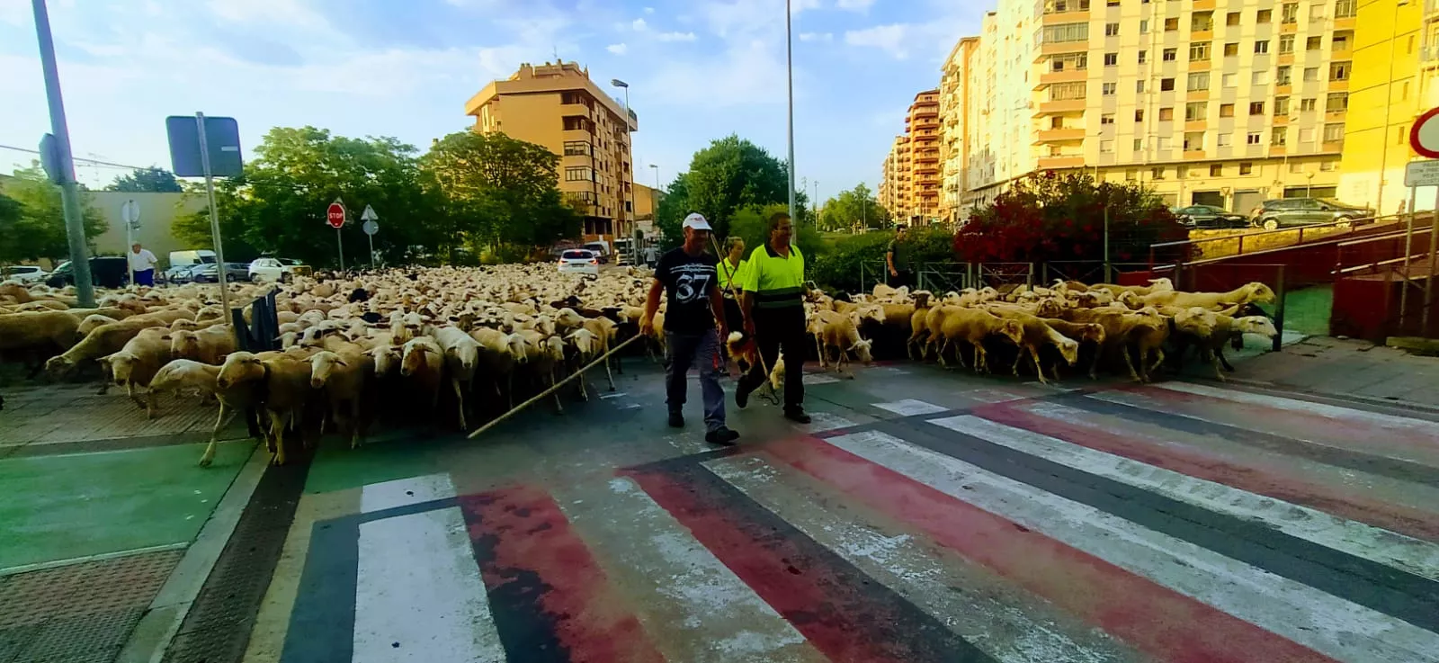 Concretamente, al Ibón de Ip en Canfranc.  Foto Joaquín Santafé