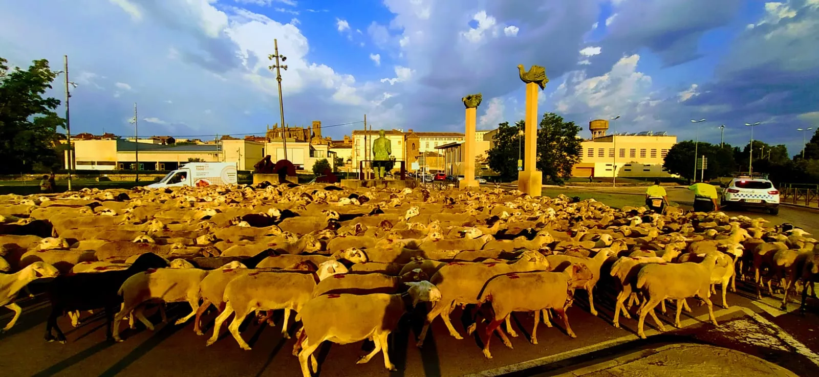Hoy han pasado por la ciudad de Huesca, recorriendo el trazado de la antigua cabañera.  Foto Joaquín Santafé