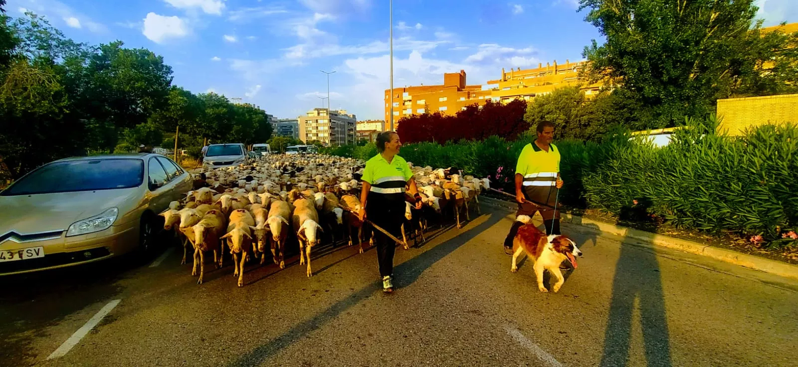 Blanca y Carlos son sus pastores, con su inseparable y fiel perro Rufo.  Foto Joaquín Santafé