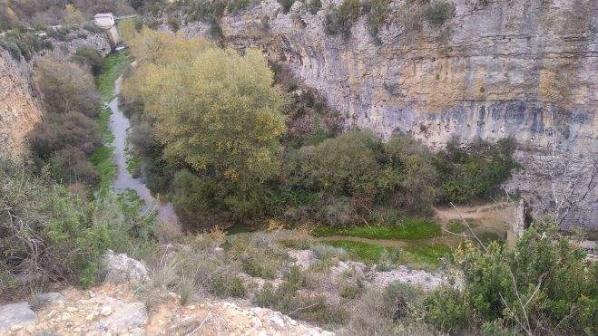 Desde la presa del molino hasta el azud todo el cauce colonizado par las plantas acuáticas. Desde la presa del molino hasta el azud todo el cauce colonizado par las plantas acuáticas.