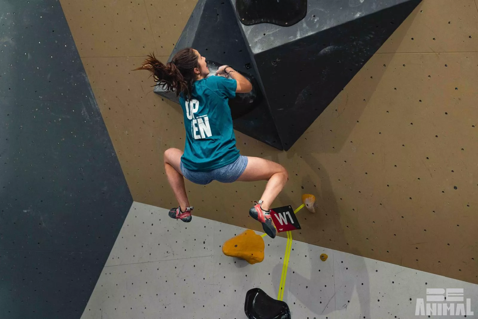 Campeonato Aragón Bloque FOTO Be animal  Helena Clancy