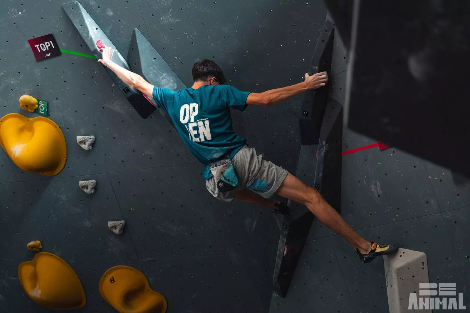 Campeonato Aragón Bloque FOTO Be animal  Helena Clancy