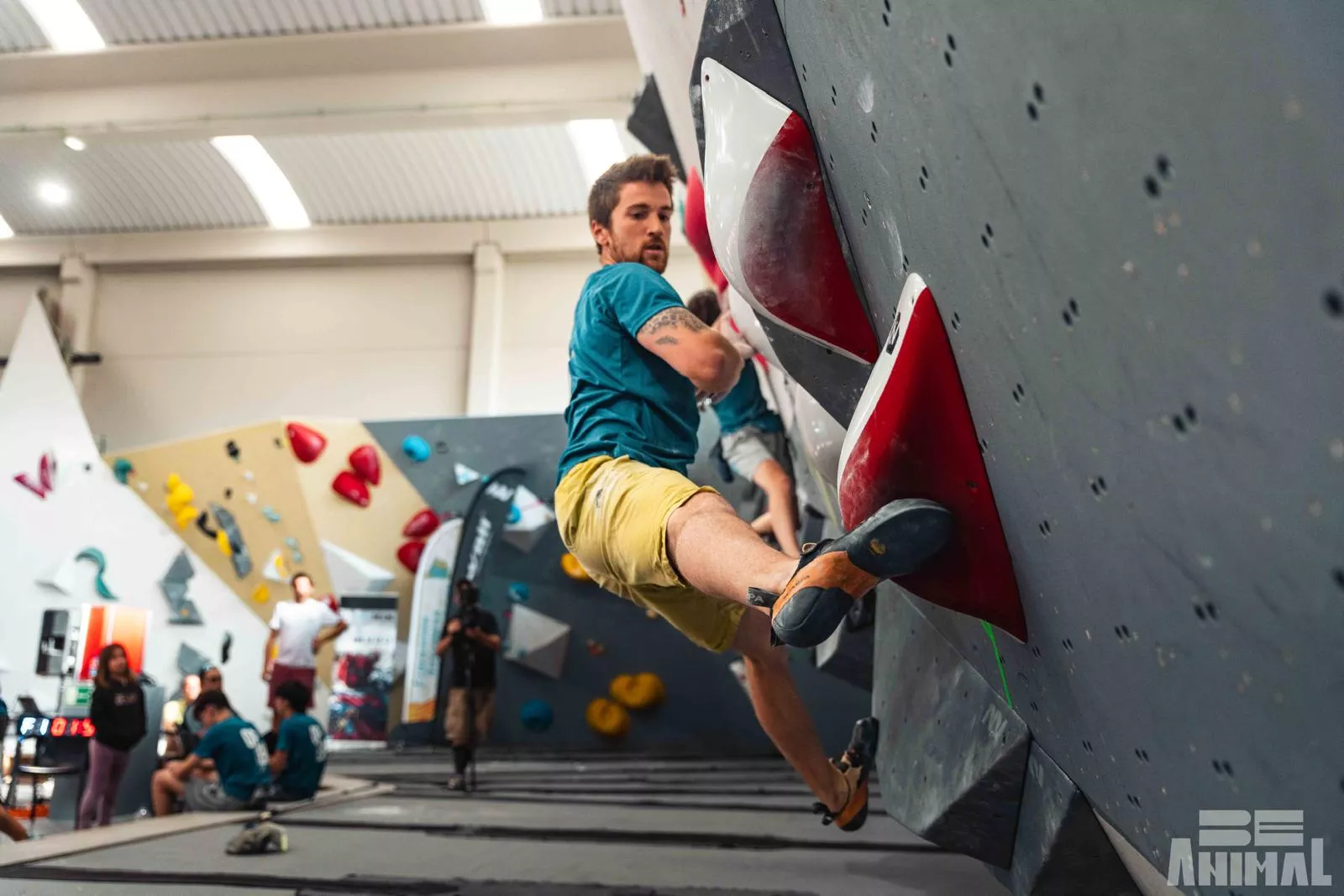 Campeonato Aragón Bloque FOTO Be animal  Helena Clancy