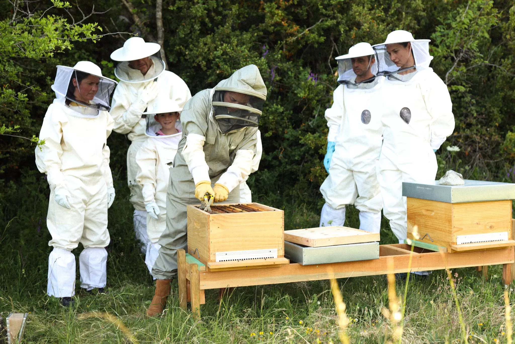 Una de las visitas ecoguiadas al Apiario de Panticosa. Foto thealpha_photography Una de las visitas ecoguiadas al Apiario de Panticosa. Foto thealpha_photography