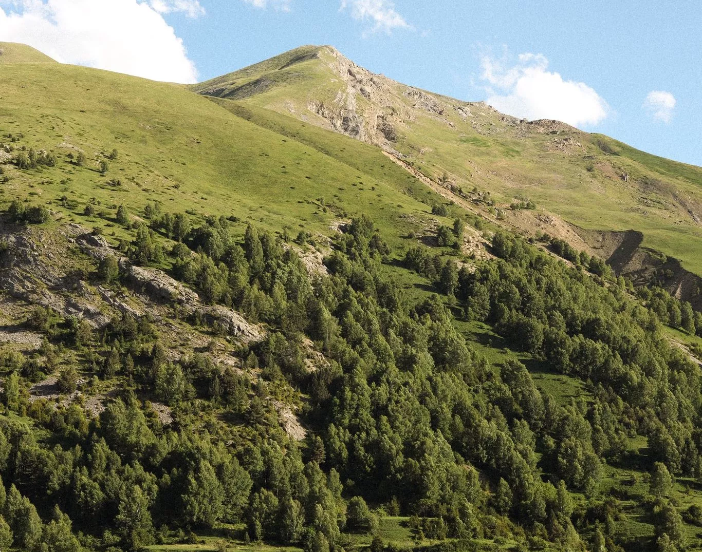 Visitas ecoguiadas al Apiario de Panticosa de Sandra Víu. Foto thealpha_photography