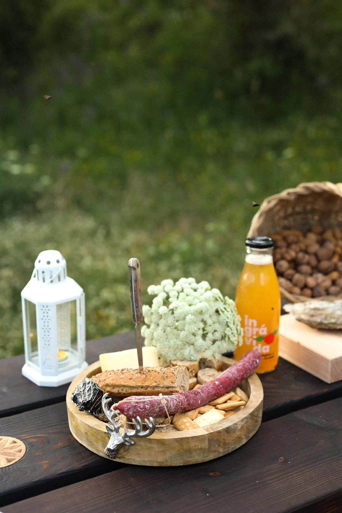 Visitas ecoguiadas al Apiario de Panticosa de Sandra Víu. Foto thealpha_photography