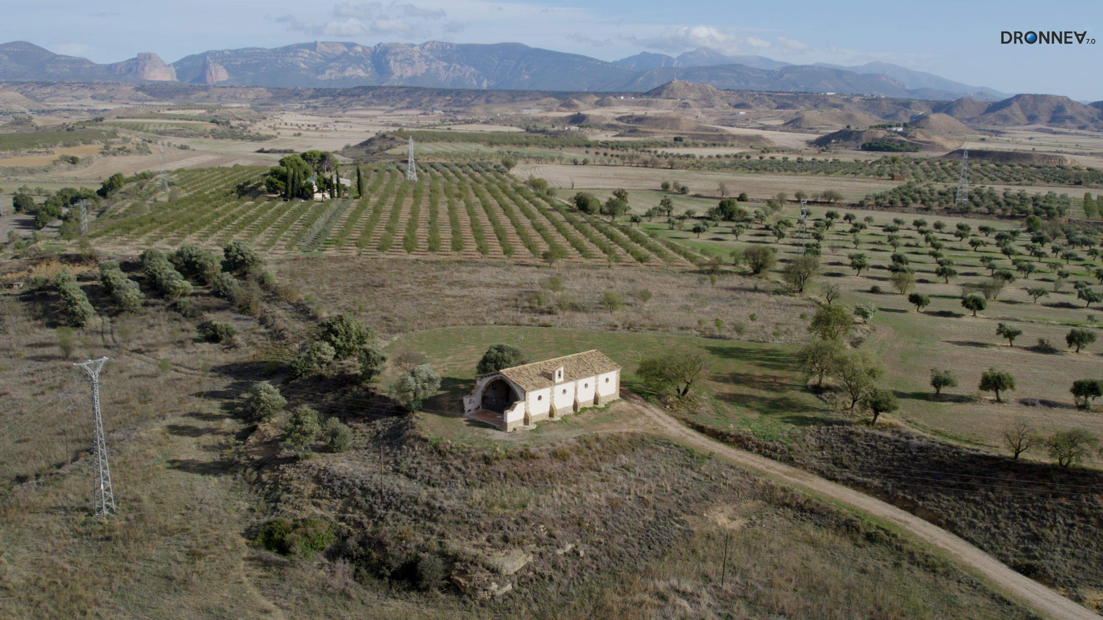 Entre el cielo y la tierra hay algo con tendencia a quedarse calvo de tanto recordar. Y ese algo soy yo mismo. Jara invita a meditar.