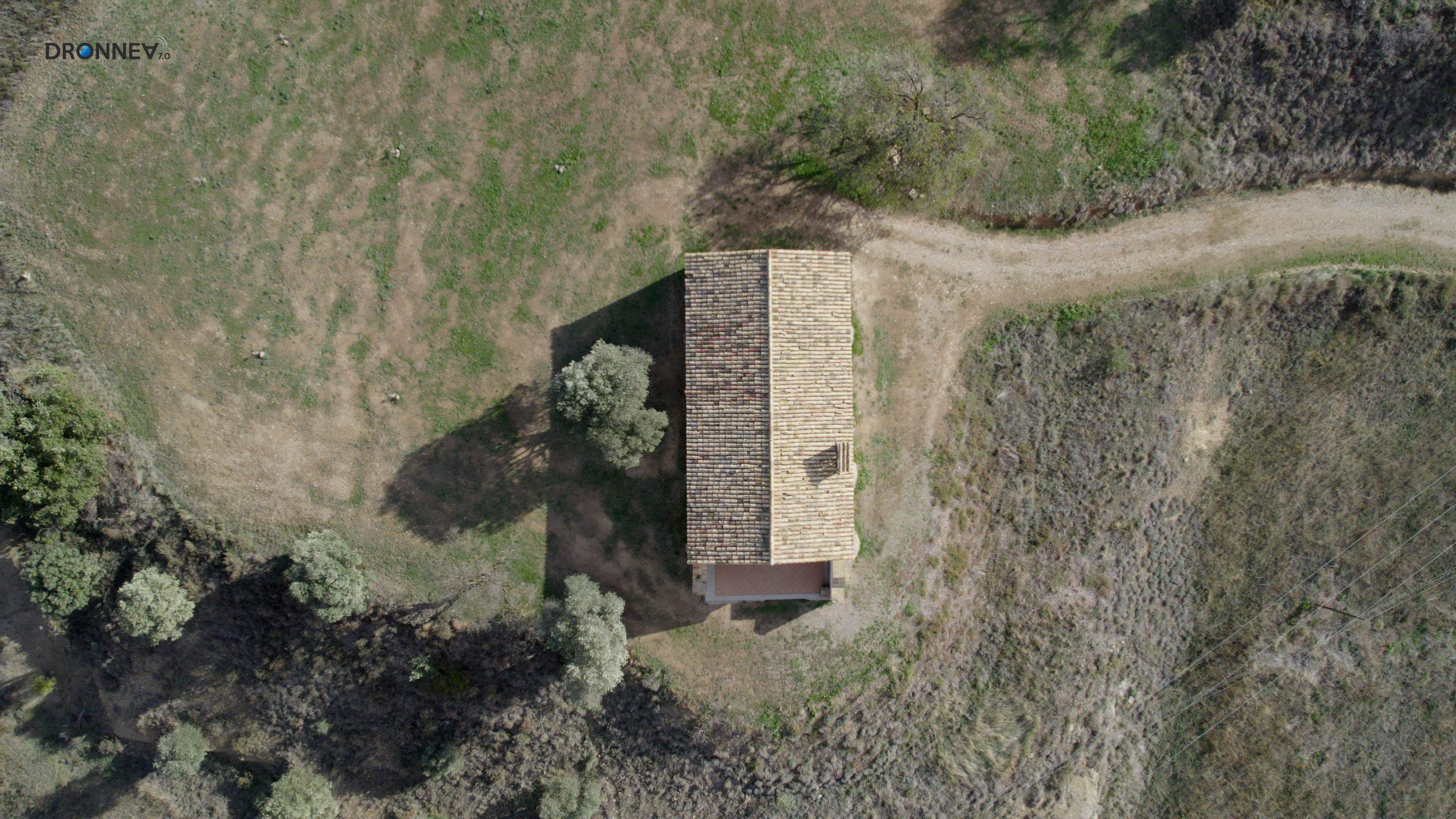 La geometría perfecta. Pintura impresionista. Delicada, detallada. La perfección dibujada por las manos humanas y por los surcos de la naturaleza.