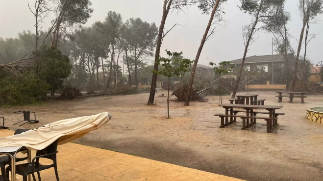 0c0bad87 e605 4908 8e1d a704a98aa703 0c0bad87 e605 4908 8e1d a704a98aa703