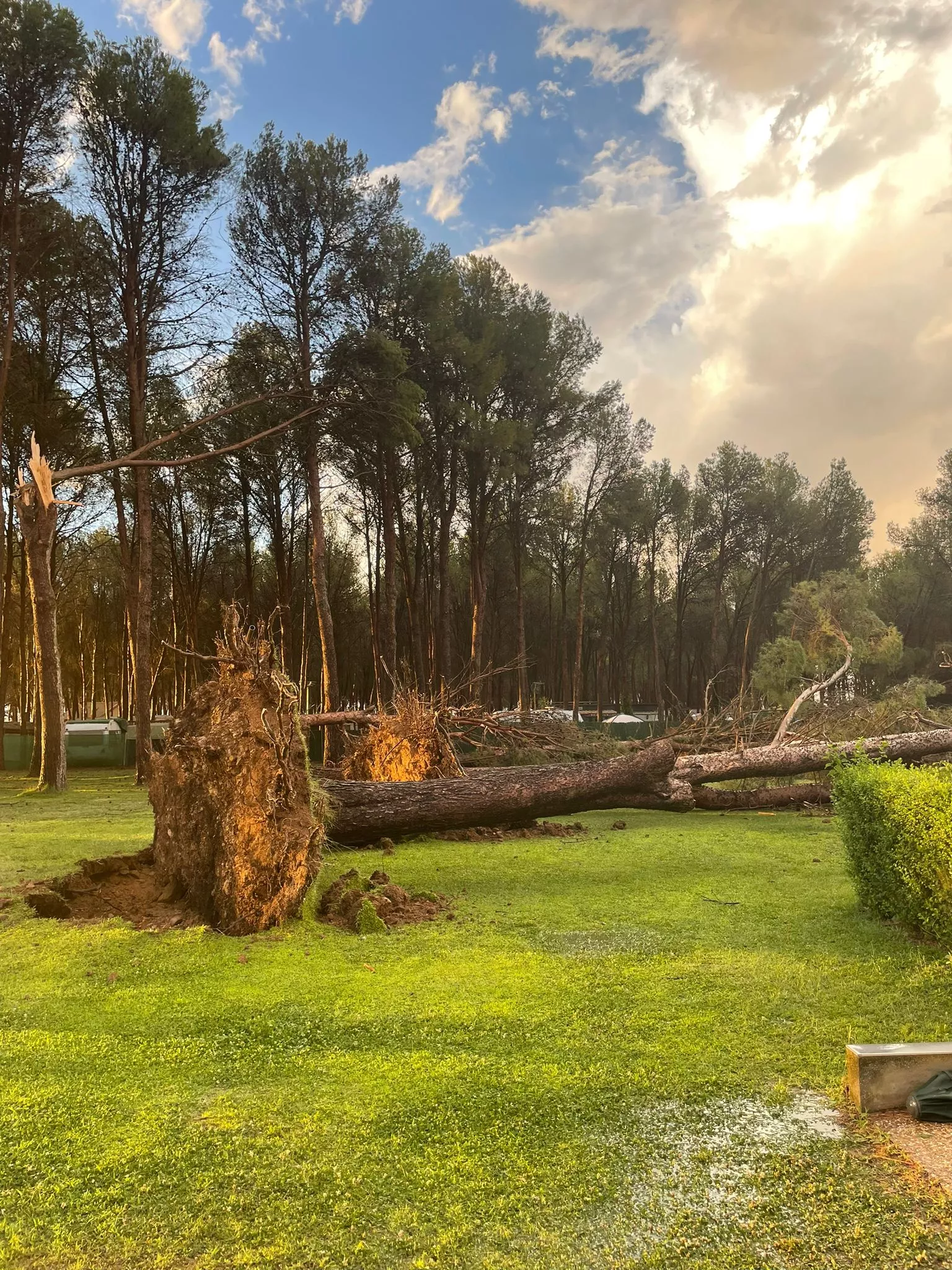 Destrozos en El Temple por el vendaval.