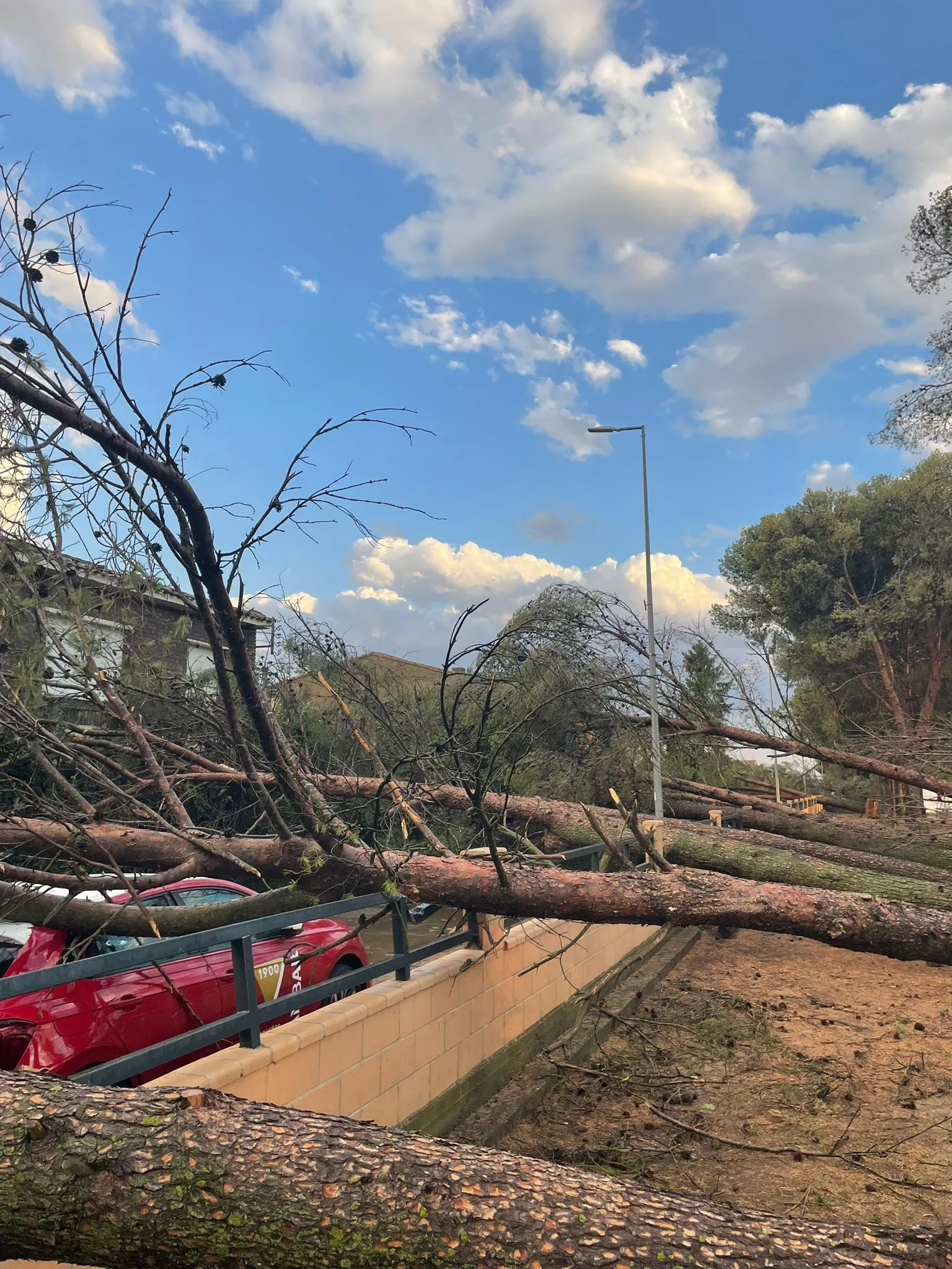 Destrozos en El Temple por el vendaval.
