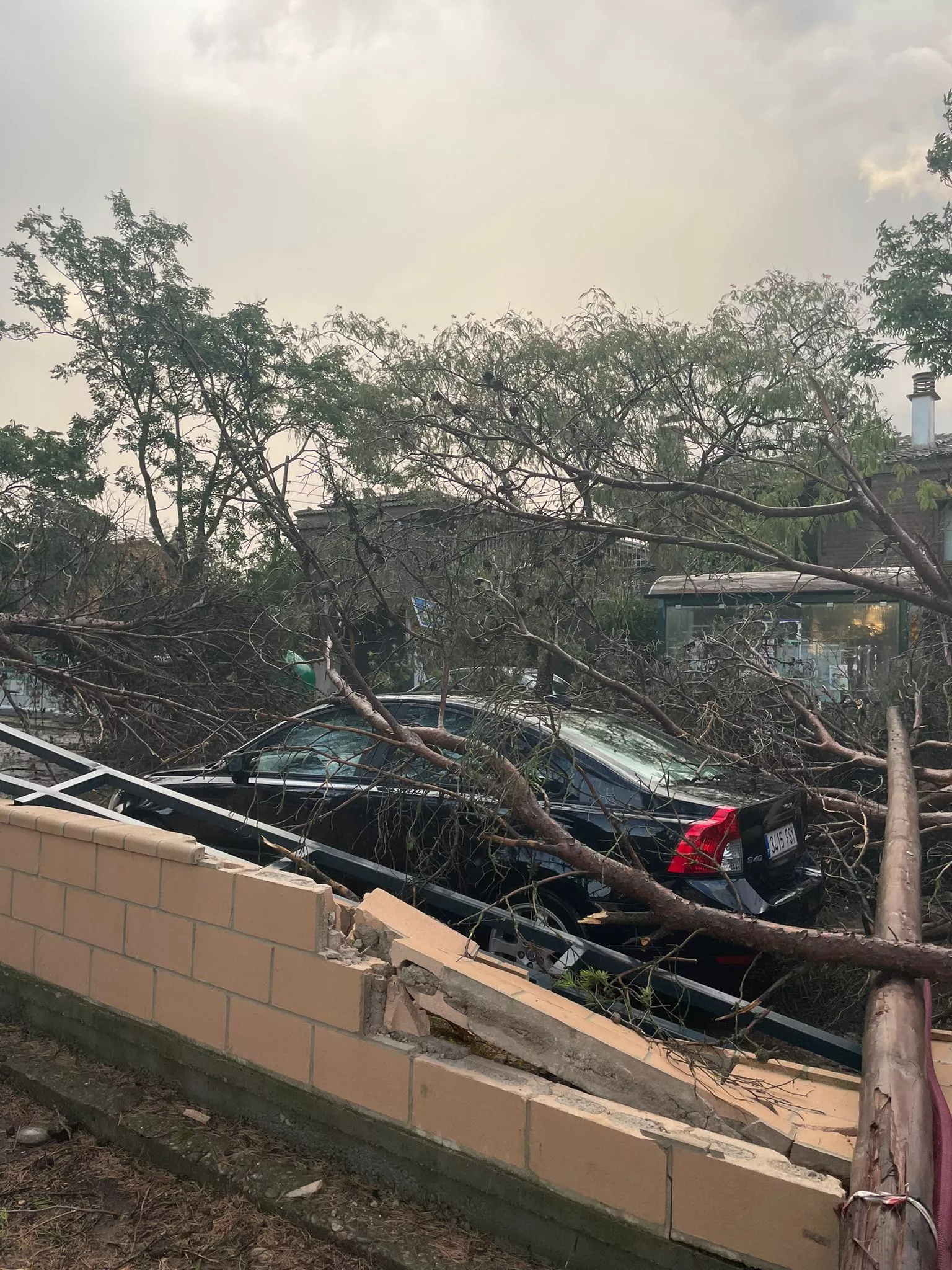 Destrozos en El Temple por el vendaval.