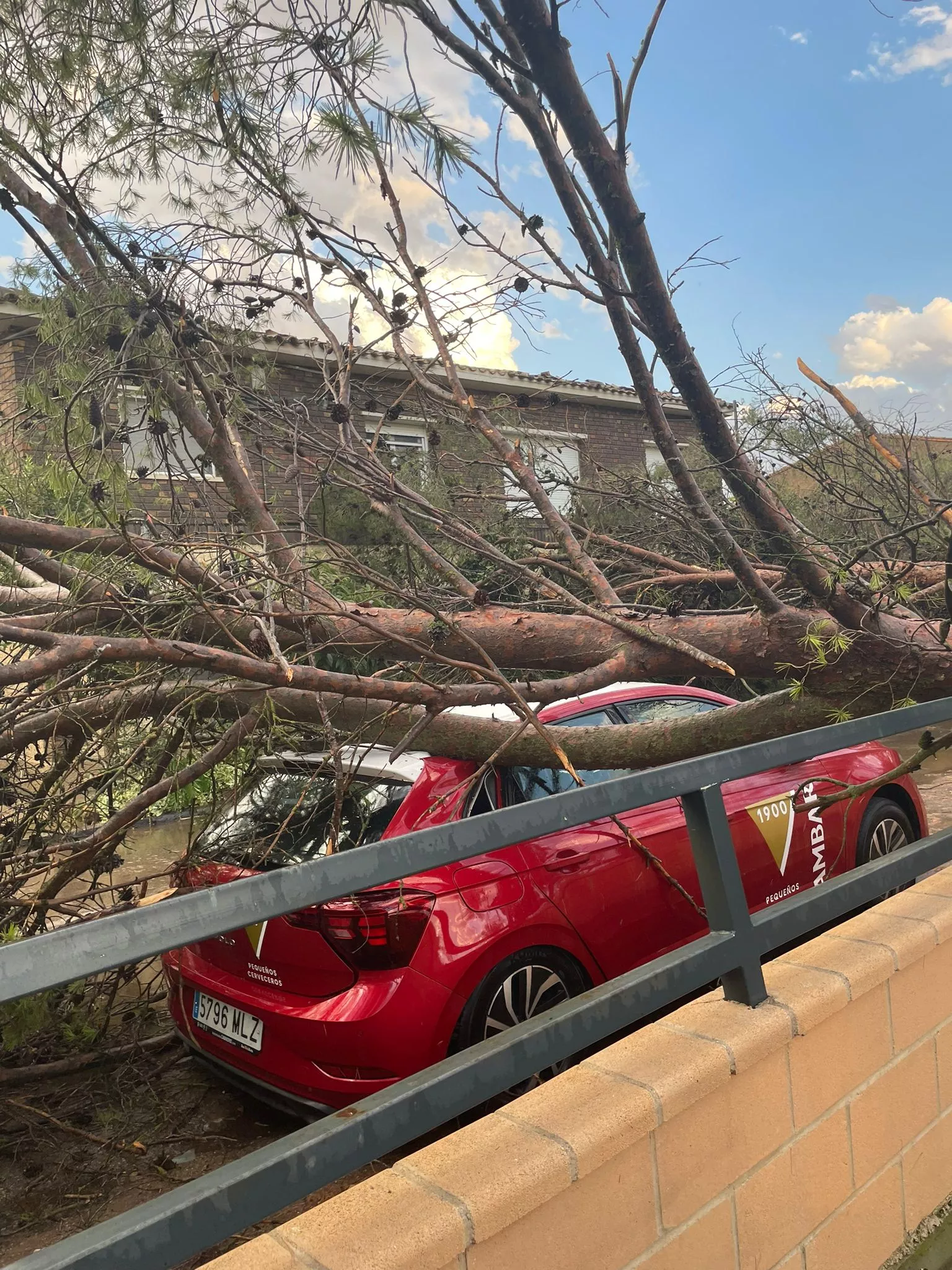 Destrozos en El Temple por el vendaval.
