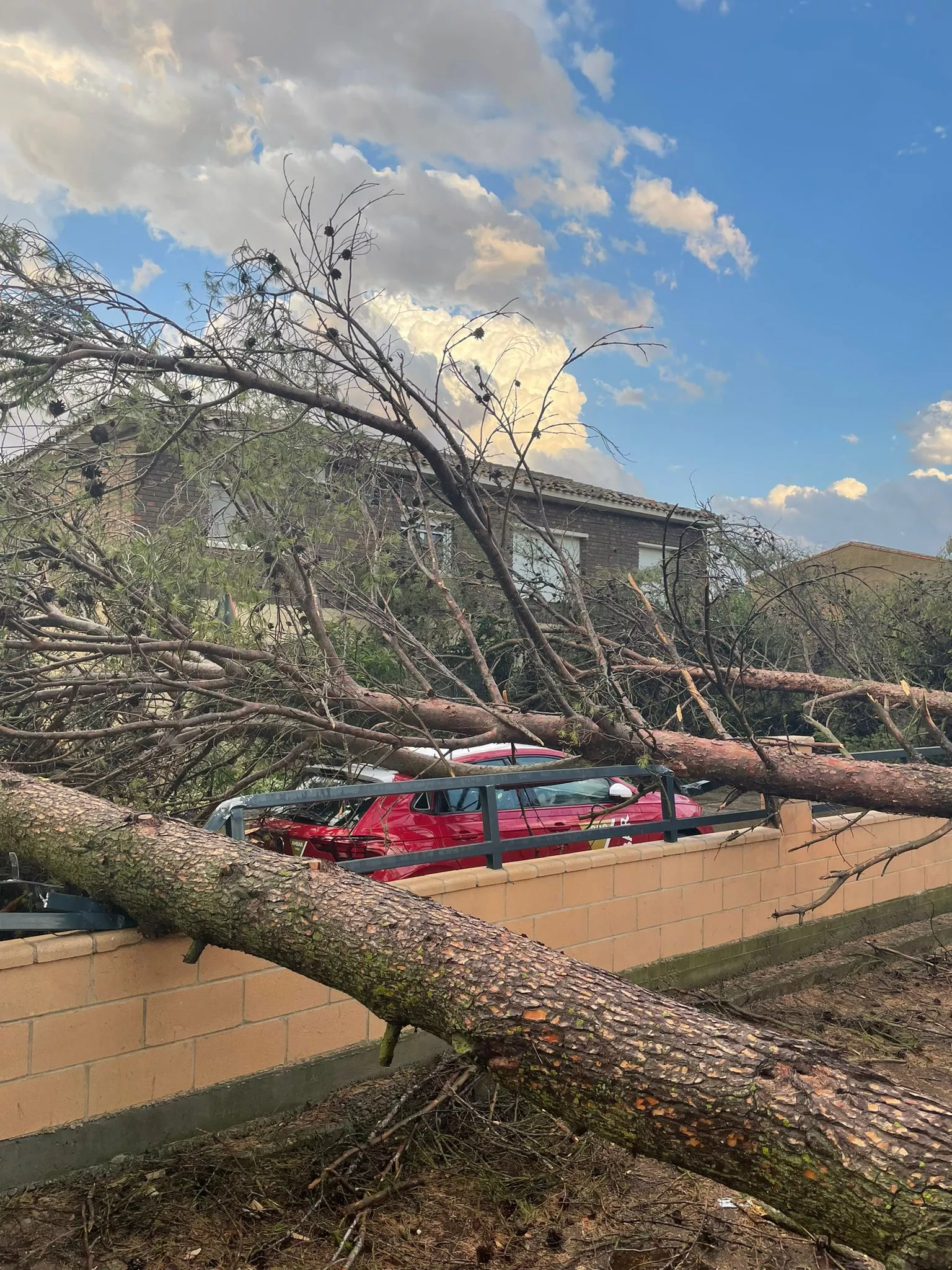 Destrozos en El Temple por el vendaval.