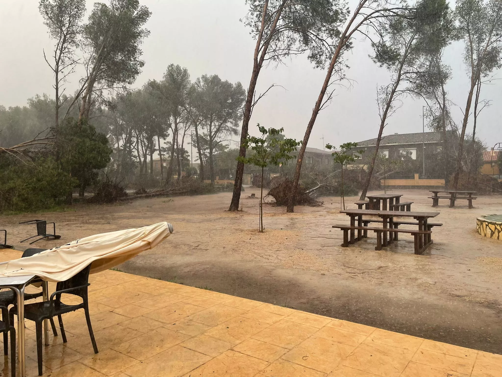 Destrozos en El Temple