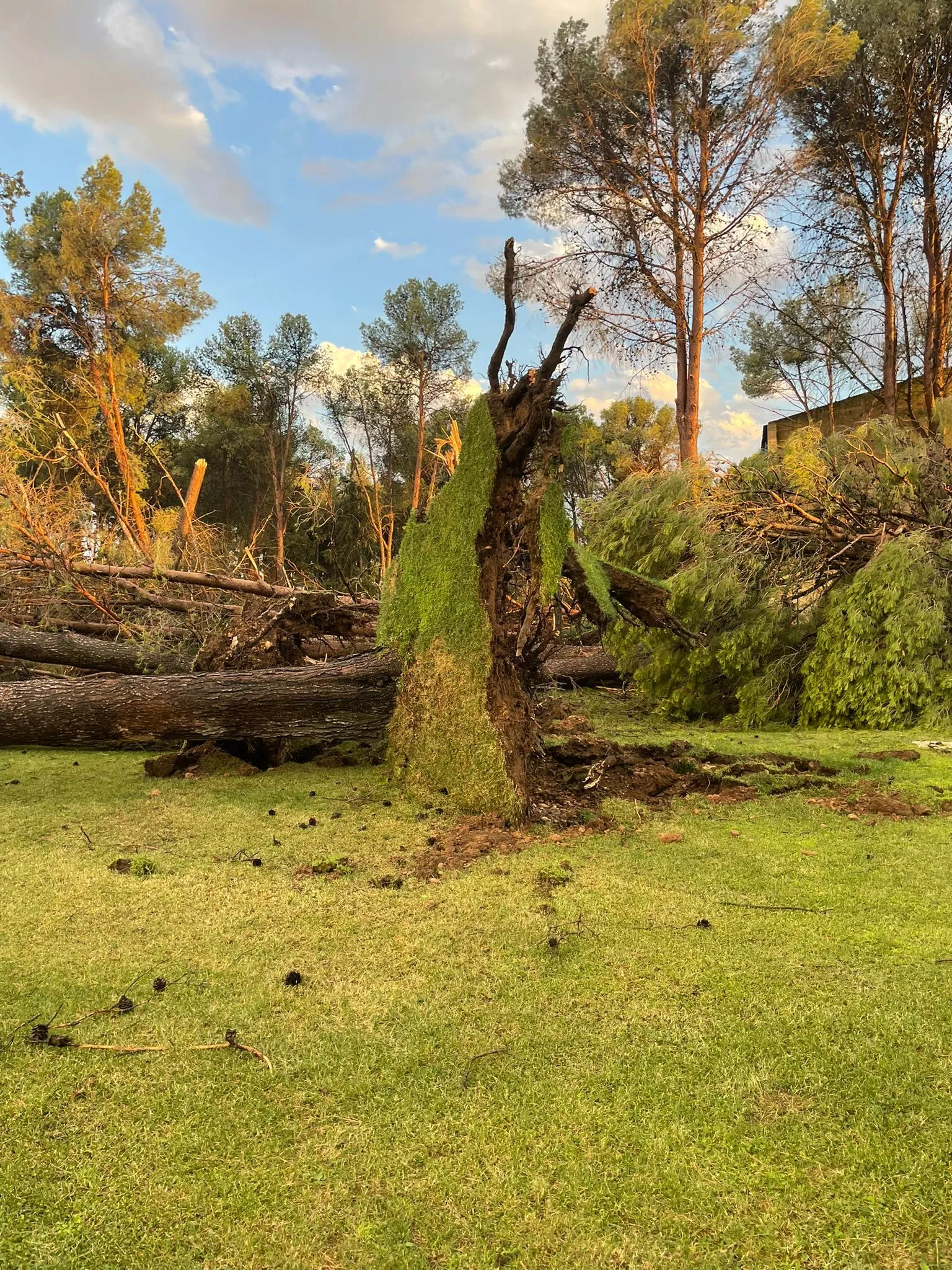 Destrozos en El Temple