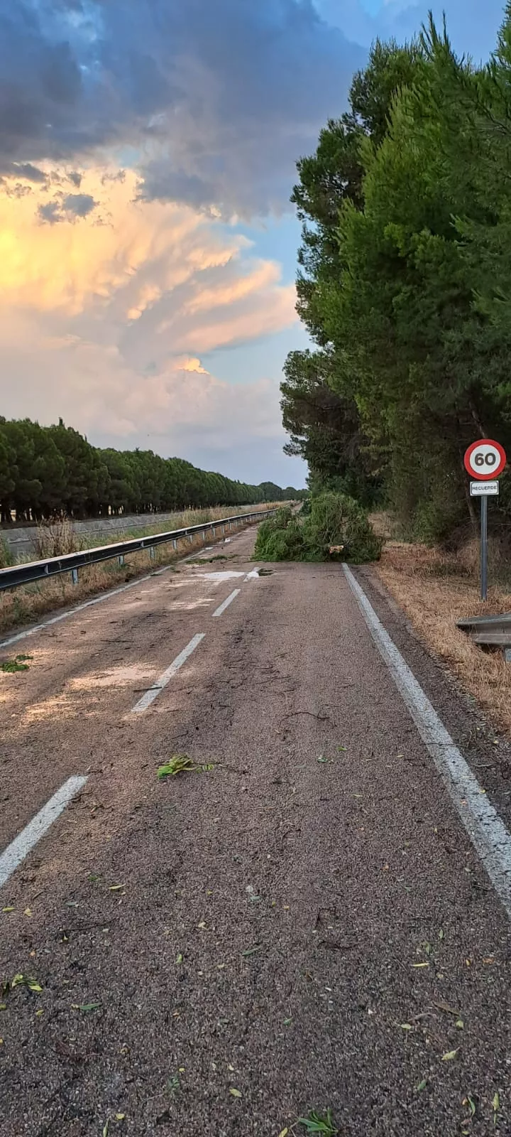 Destrozos entre Gurrea de Gállego y Almudévar por el viento huracanado