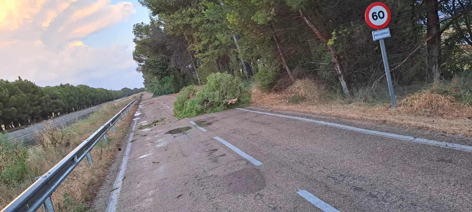 Destrozos entre Gurrea de Gállego y Almudévar por el viento huracanado