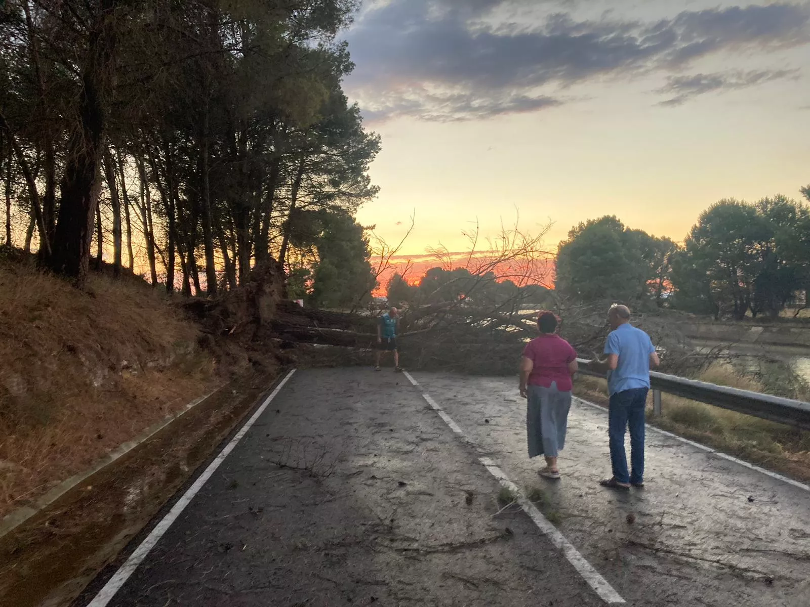 Destrozos entre Gurrea de Gállego y Almudévar por el viento huracanado