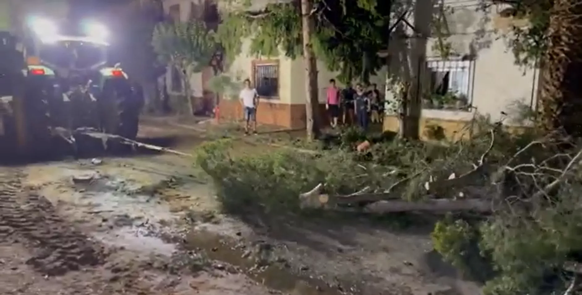 Un tractor arrastra un gran árbol que había caído. Imagen del video de Gustavo Duarte