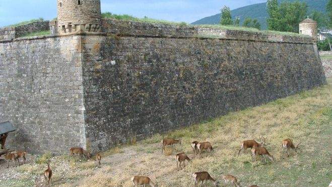 Ciudadela de Jaca Ciudadela de Jaca